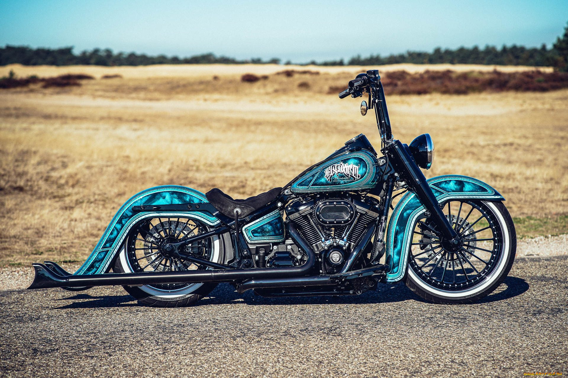 харлей, мотоциклы, harley-davidson, мотоцикл, байк, thunderbike, customs