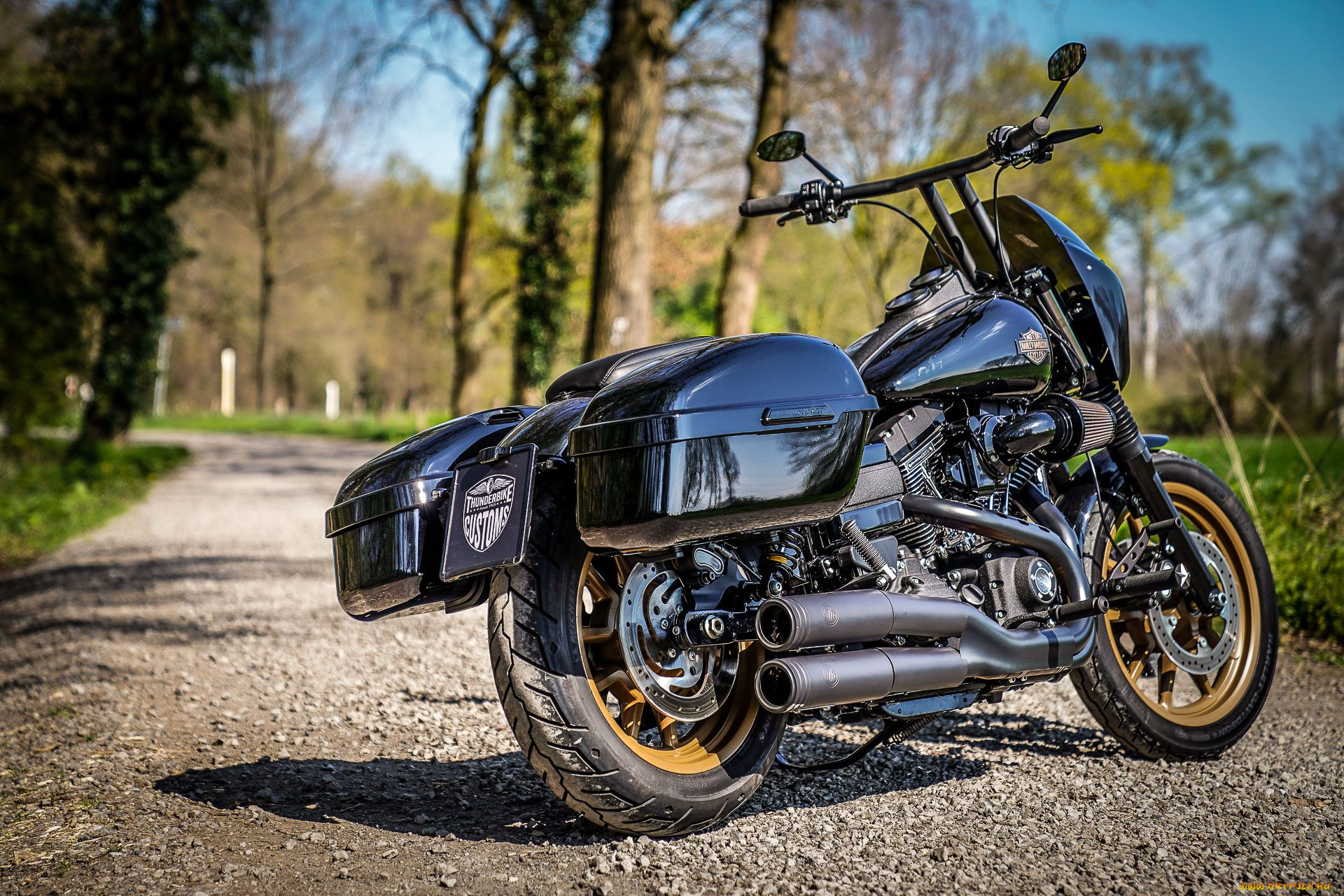 harley, мотоциклы, harley-davidson, thunderbike, customs, мотоцикл, байк