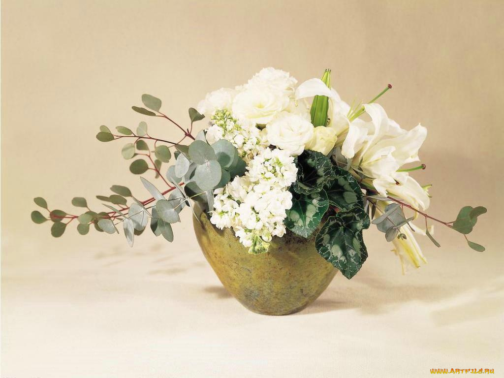 цветы, букеты, композиции