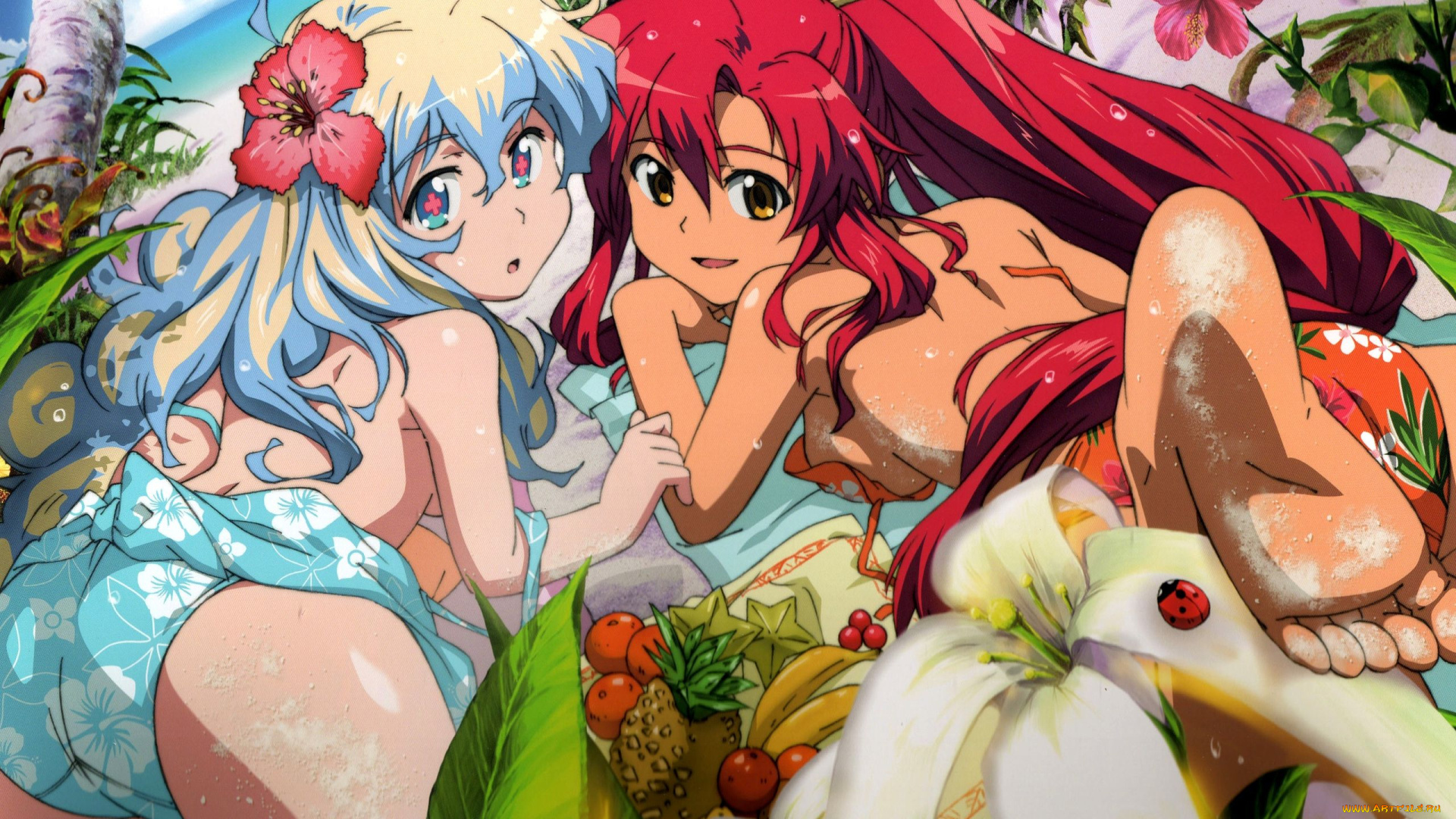 аниме, tengen, toppa, gurren, lagann, yoko, littner, nia, teppelin