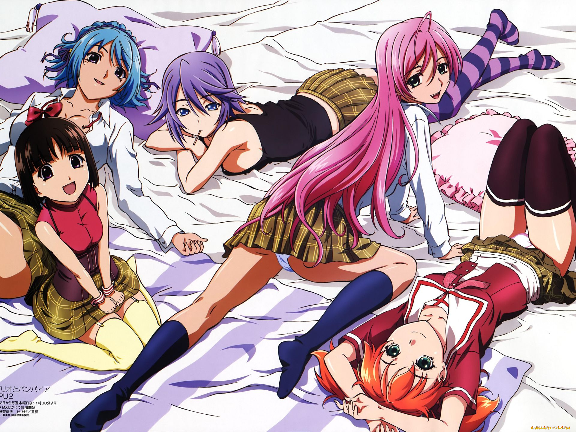 аниме, rosario, vampire