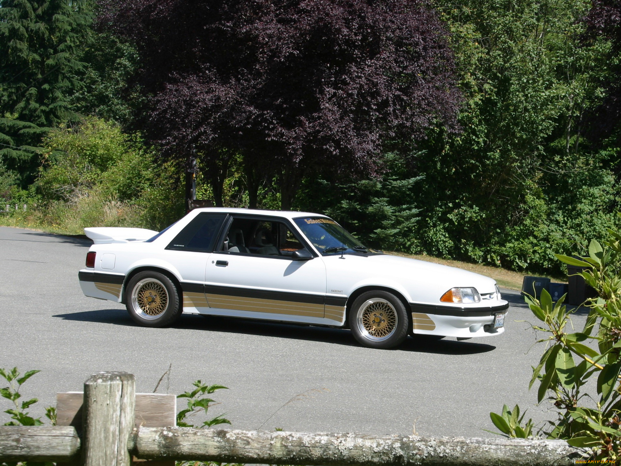 автомобили, mustang