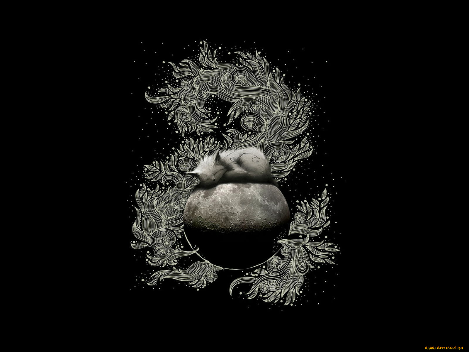 векторная, графика, котик