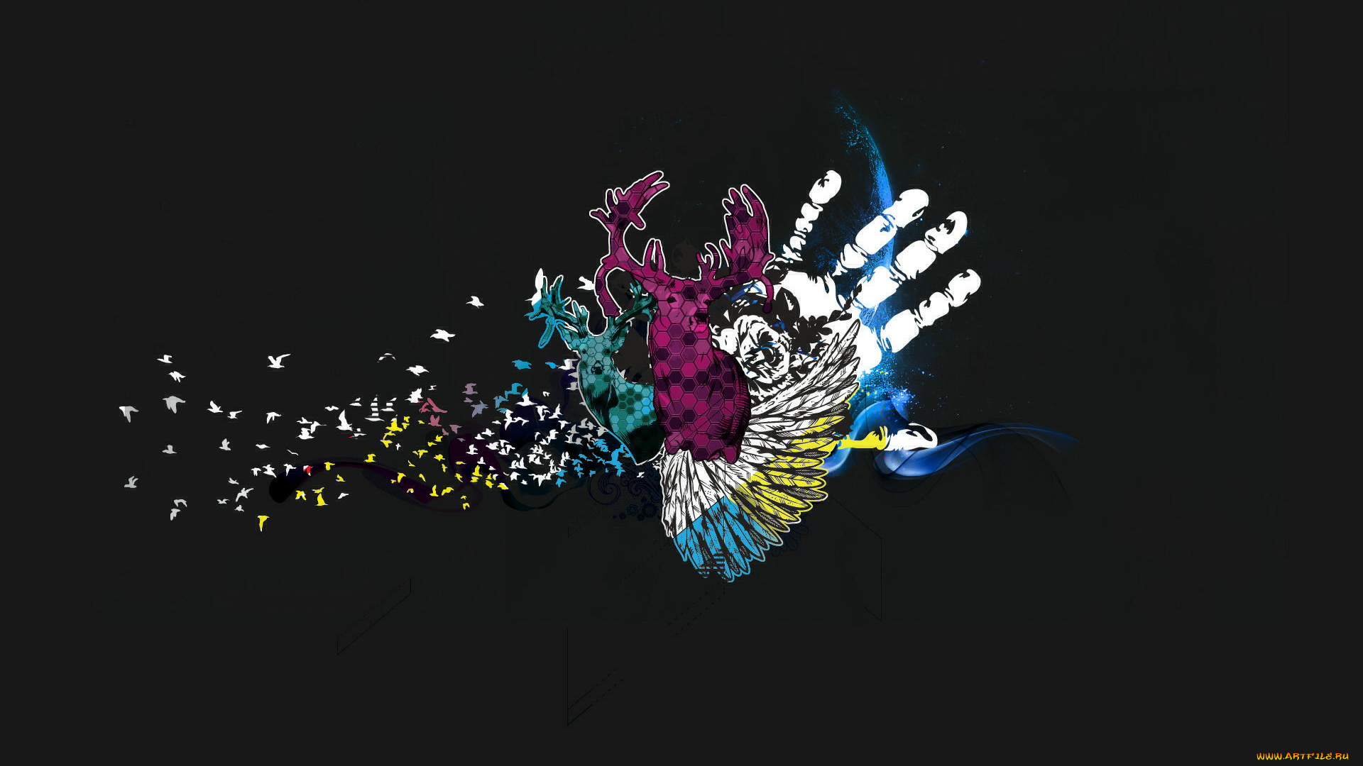 векторная, графика, птицы, рука, перя