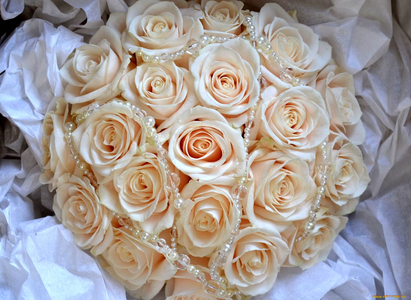 цветы, розы, бежевый, бусы