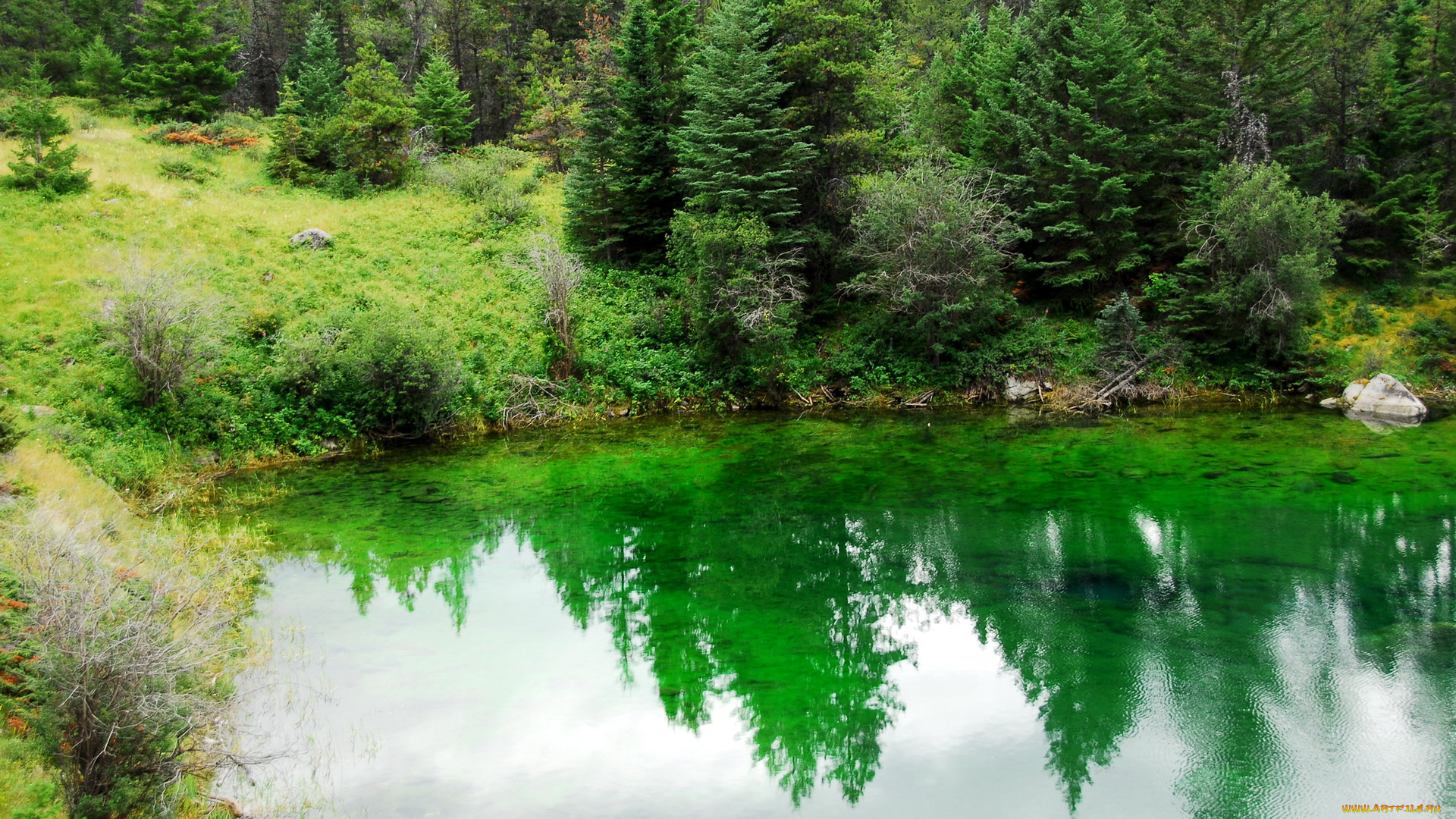 jasper, national, park, canada, природа, реки, озера