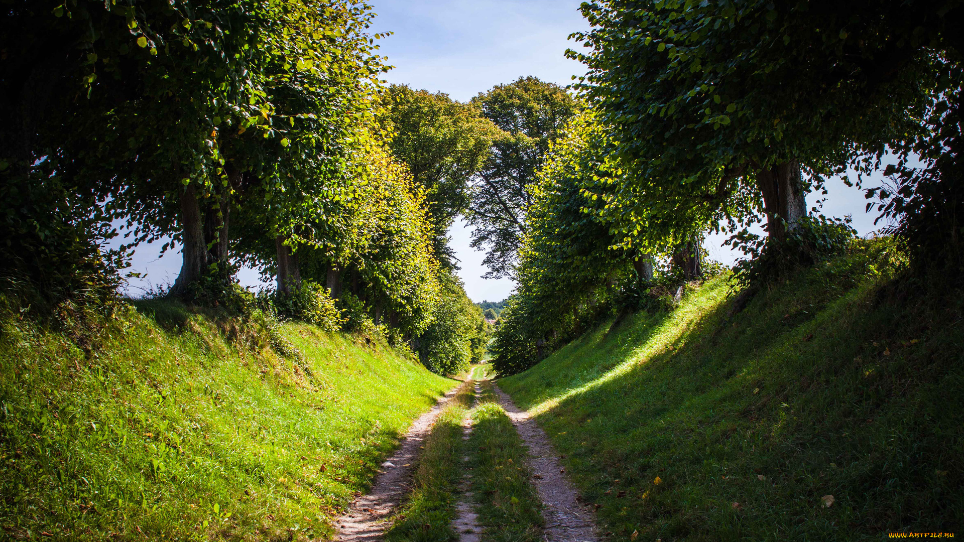 природа, дороги, трава, дорога, лето, деревья, небо