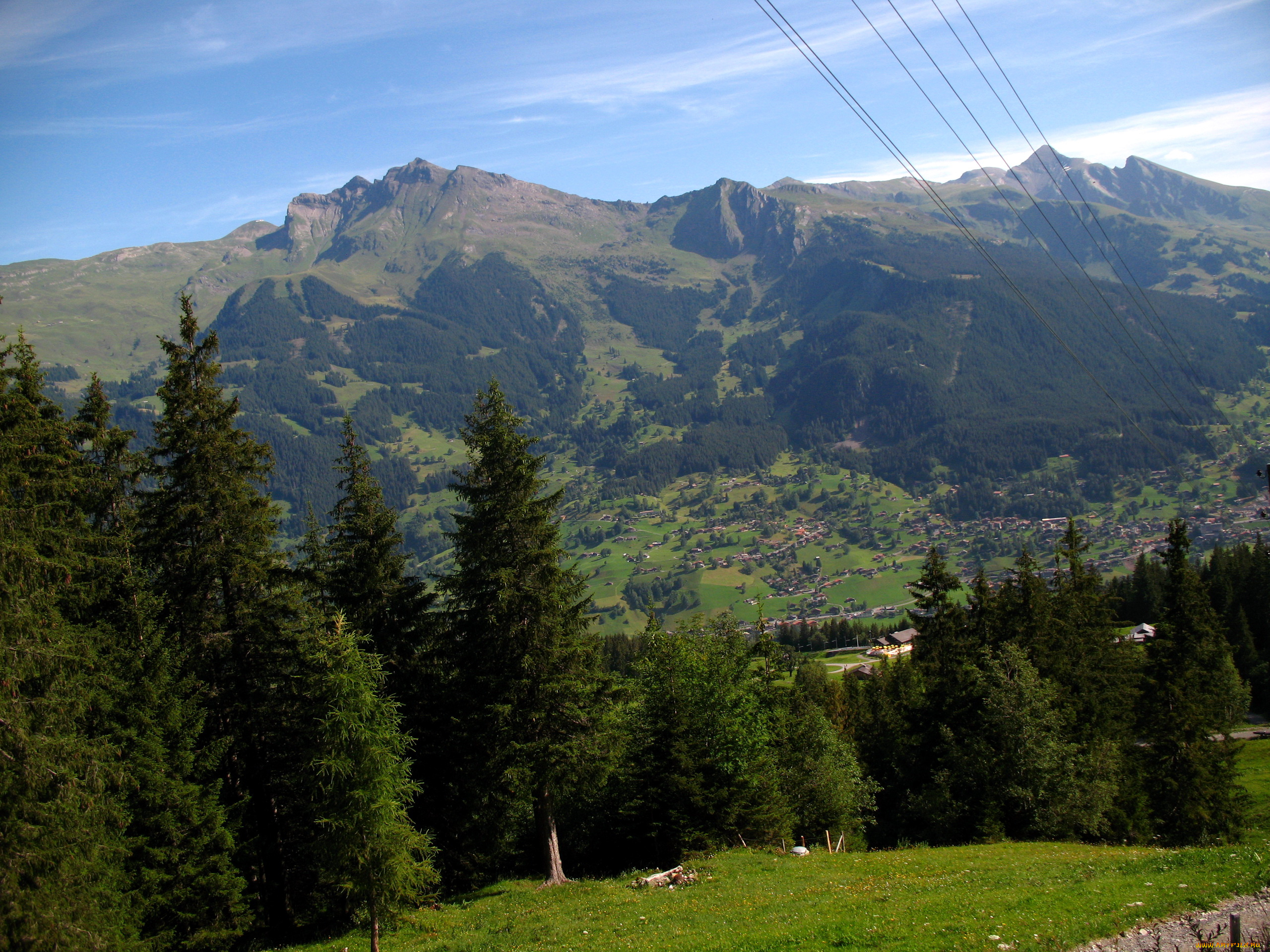 grindelwald, switzerland, природа, горы