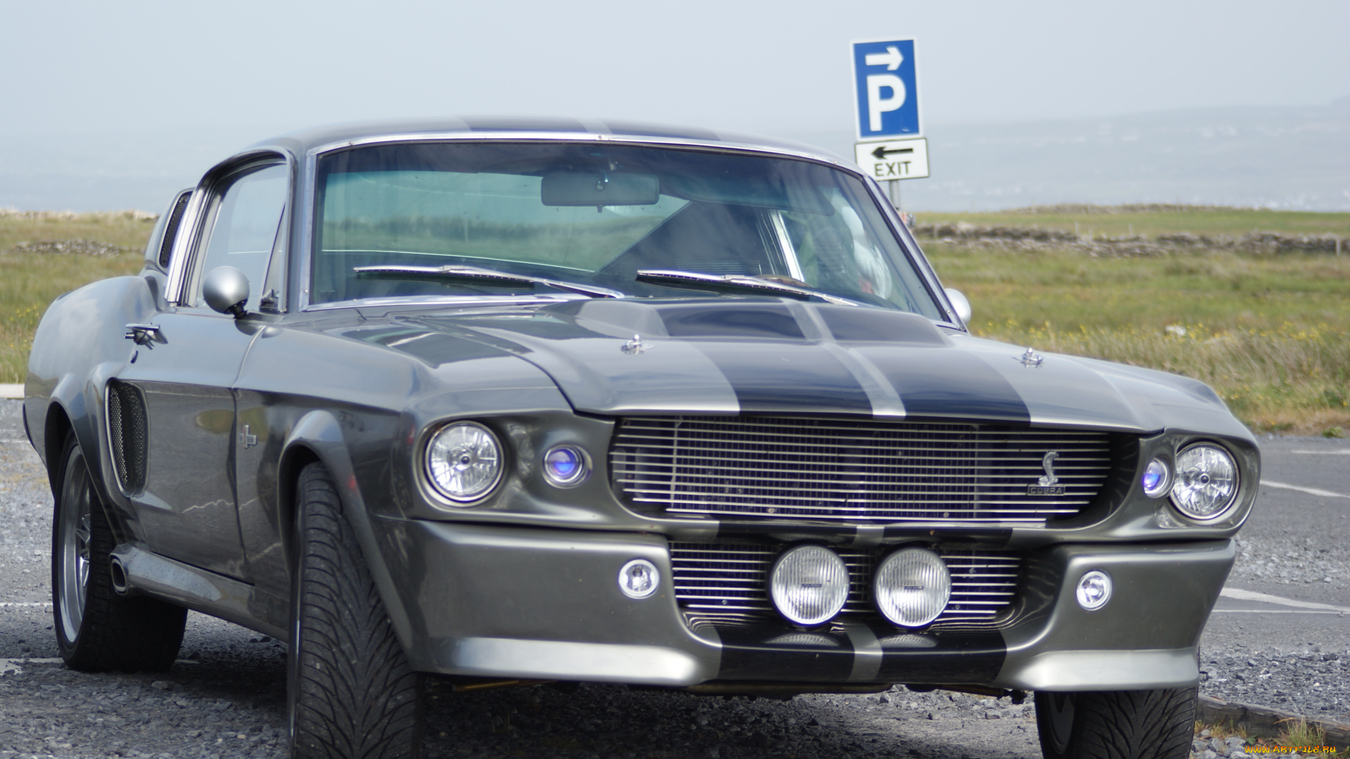 автомобили, mustang, shelby