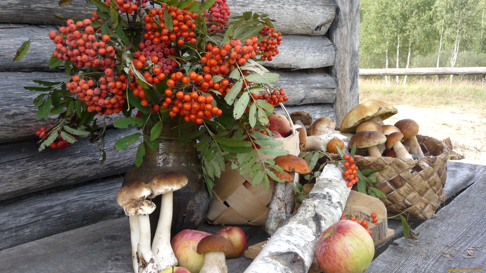 еда, натюрморт, боровики, рябина, полено, яблоки