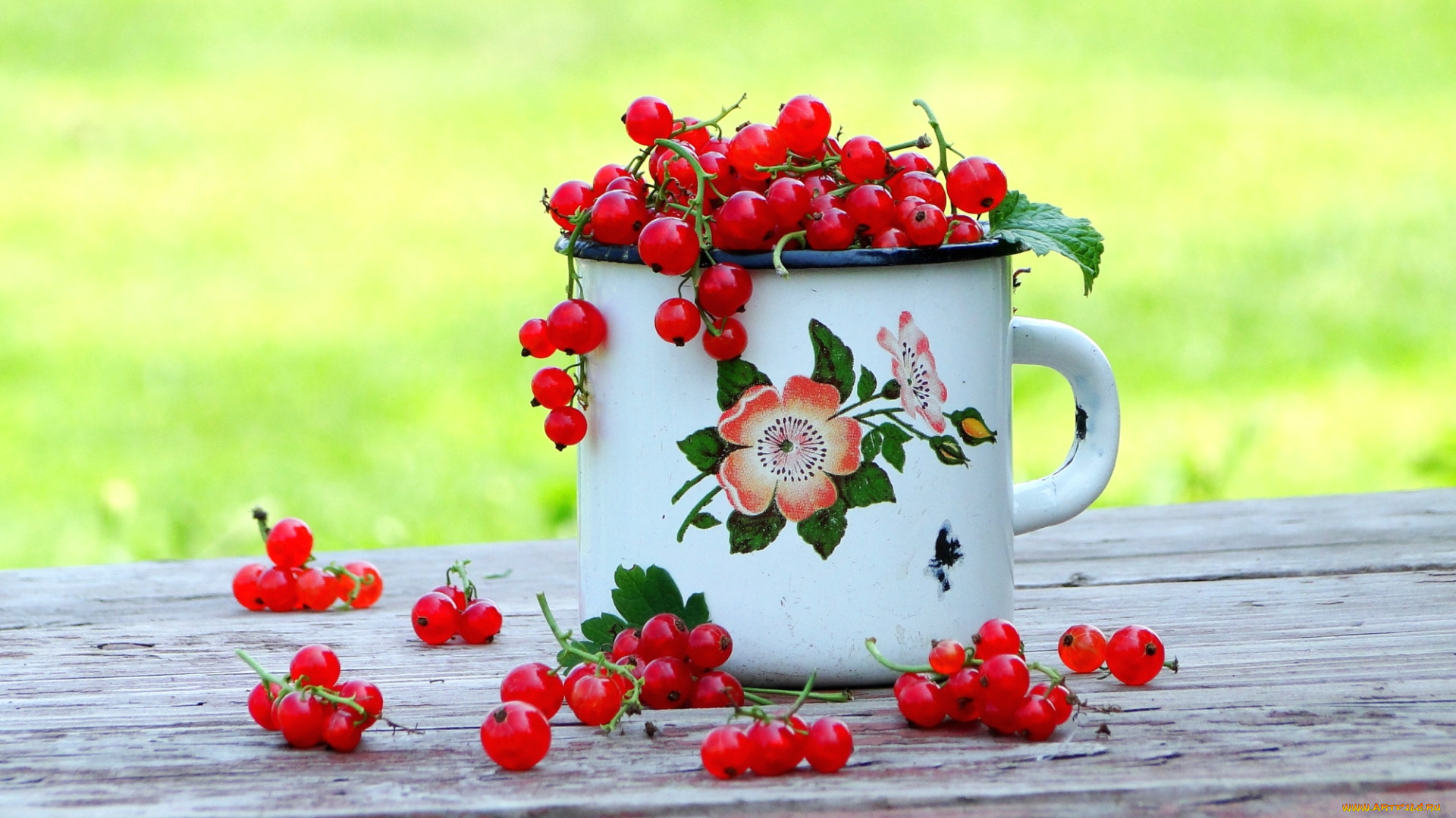 еда, смородина, кружка, красная
