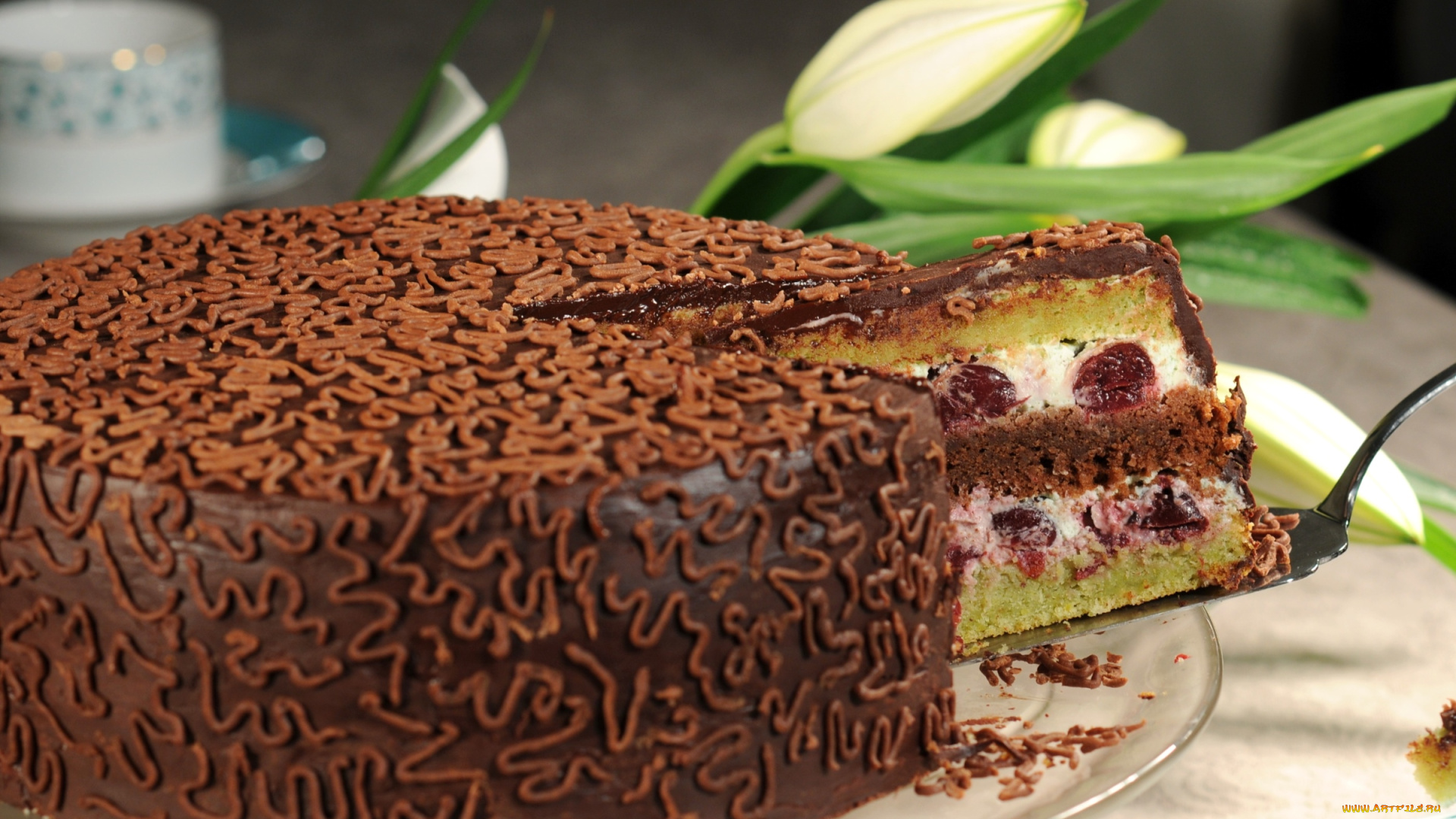 еда, торт, только, шоколад