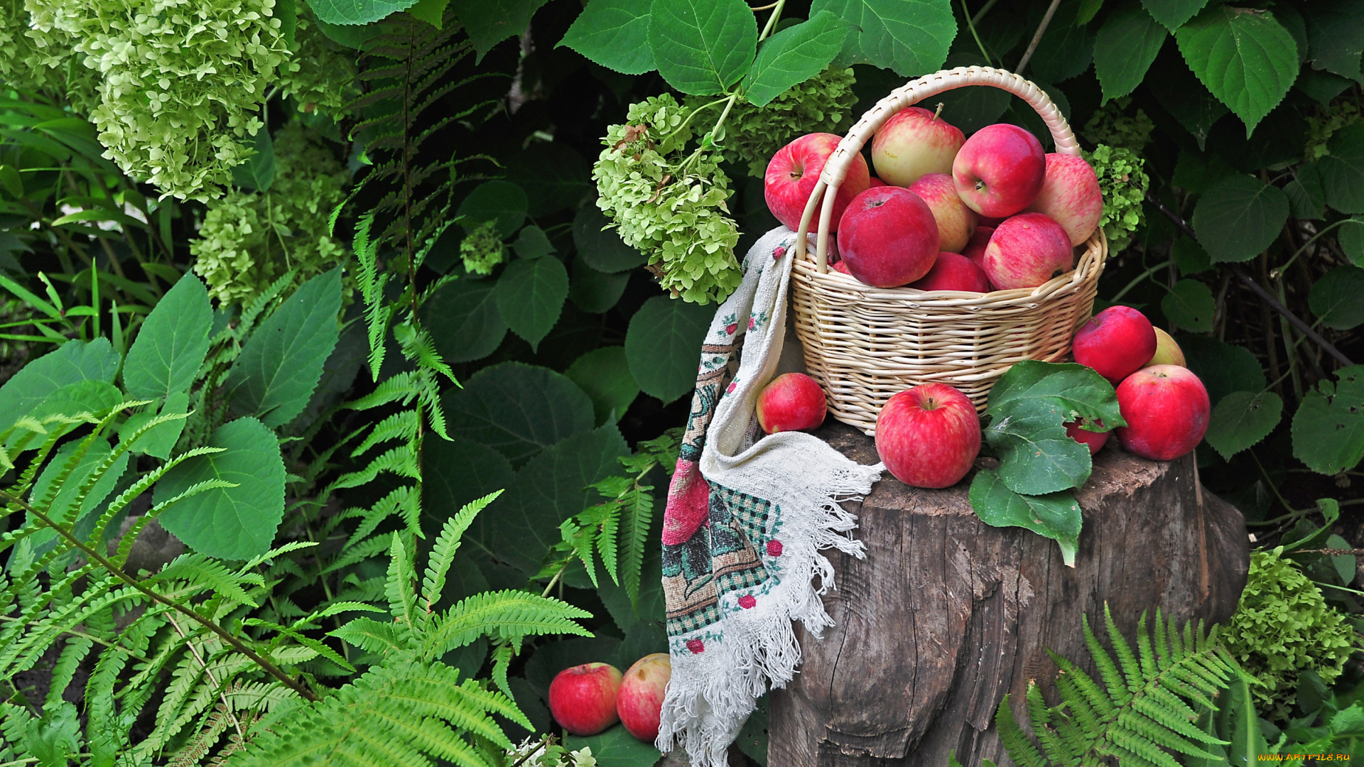 еда, Яблоки, зелень, корзинка