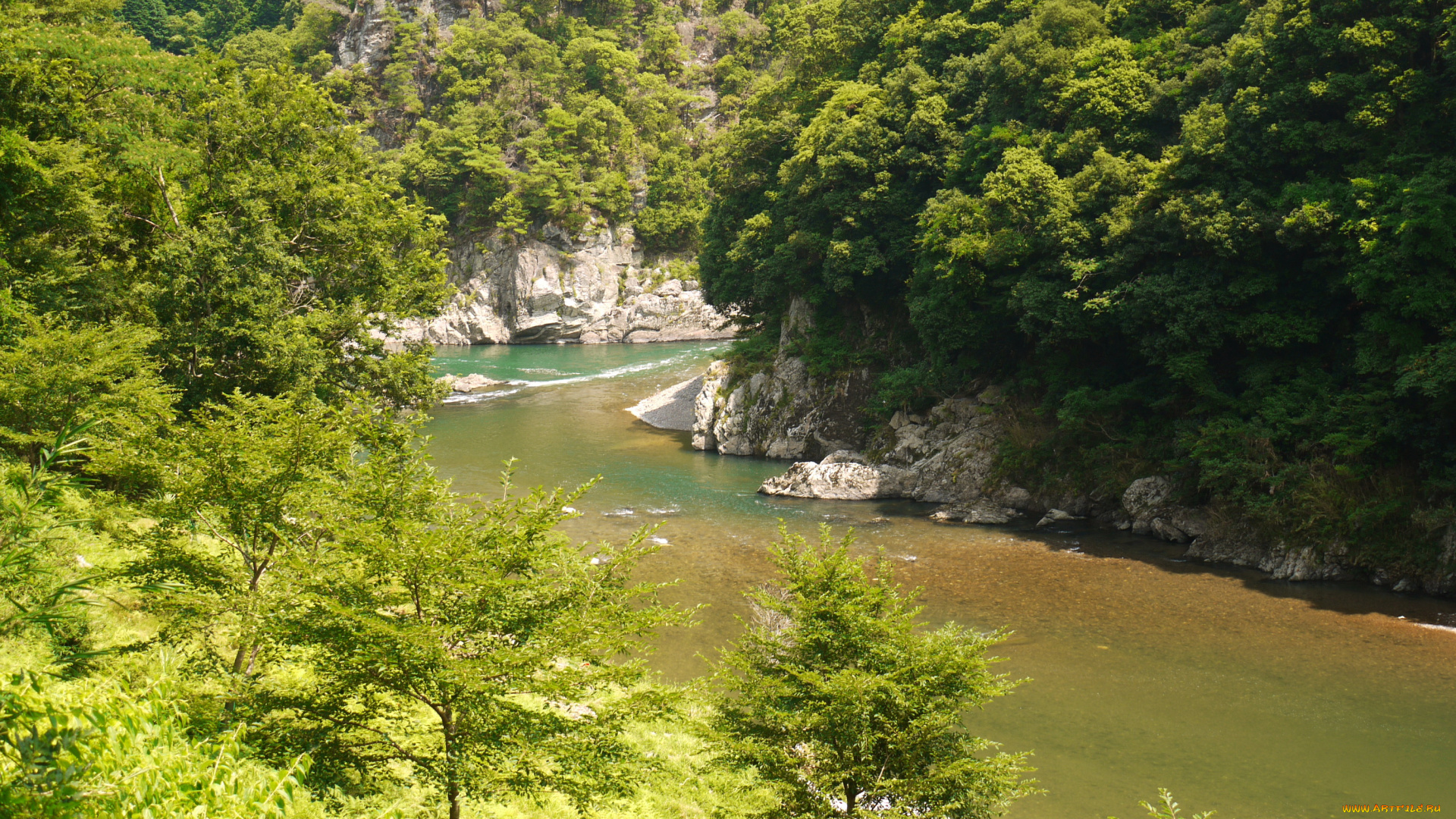 kyoto, Япония, природа, реки, озера, берега, река, деревья