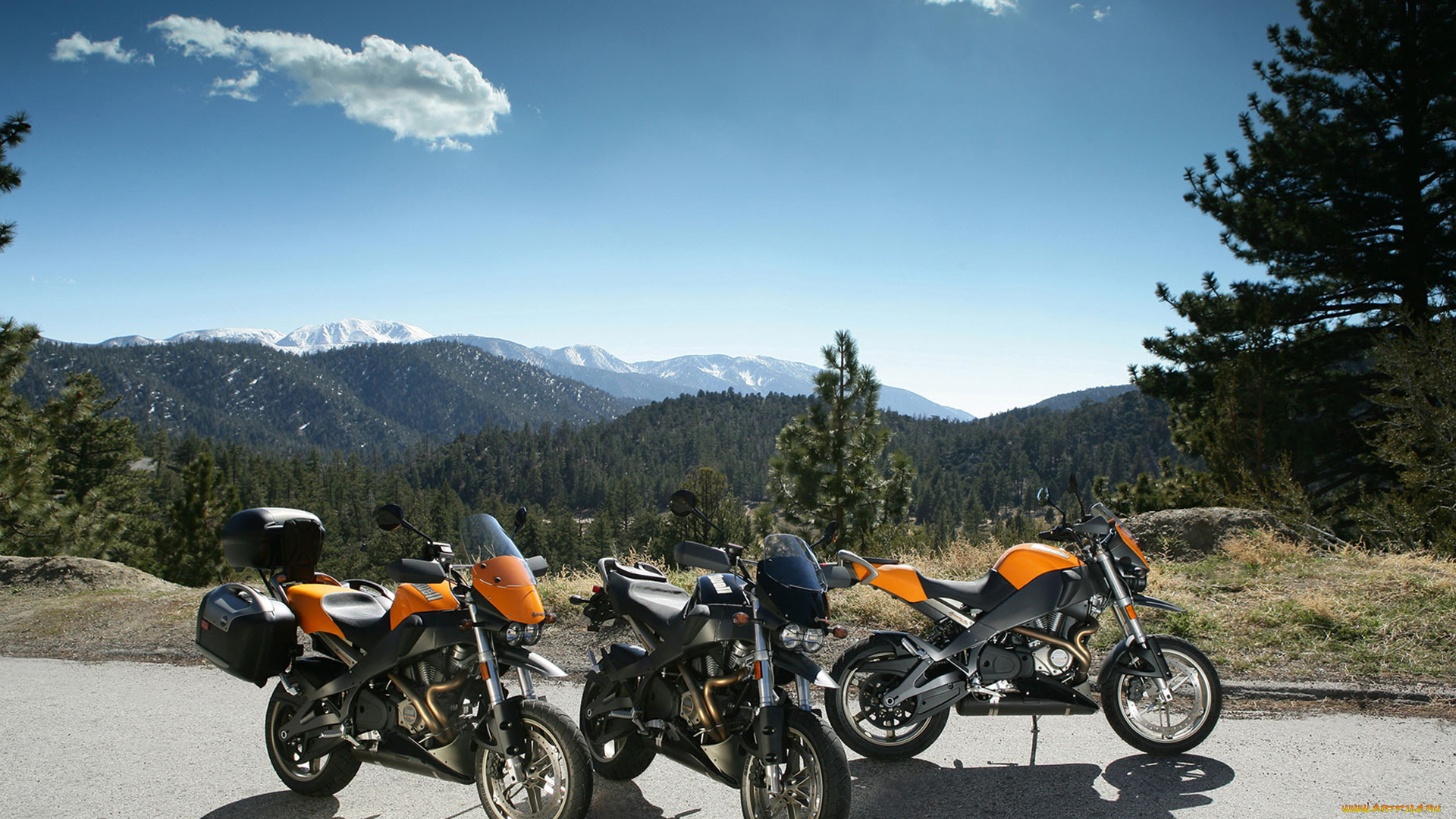 мотоциклы, buell