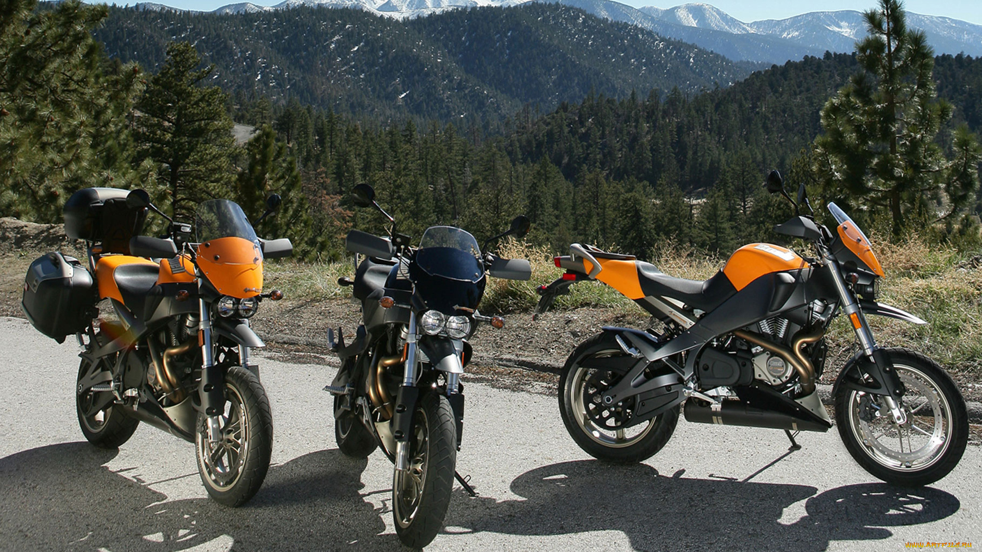 мотоциклы, buell