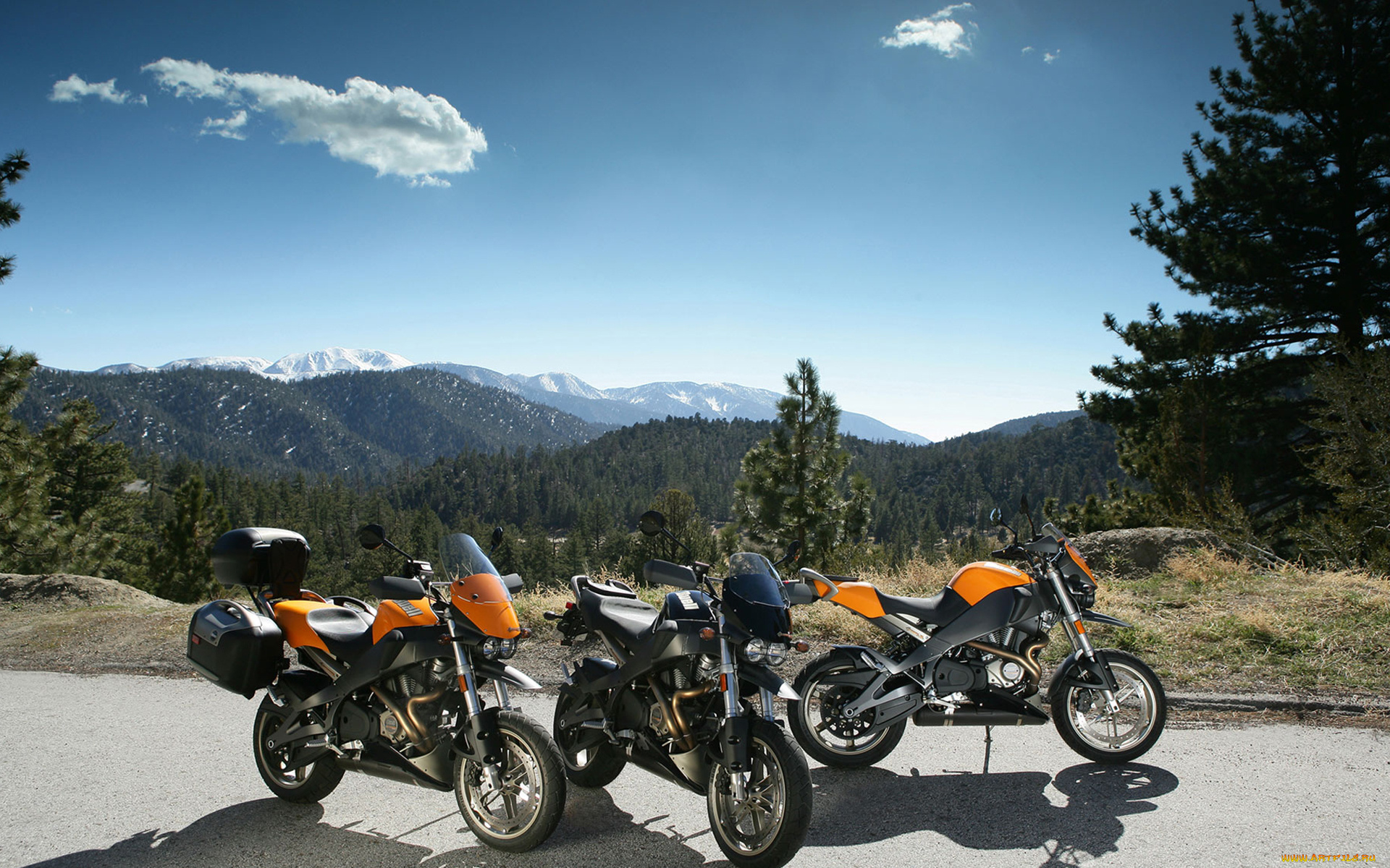 мотоциклы, buell