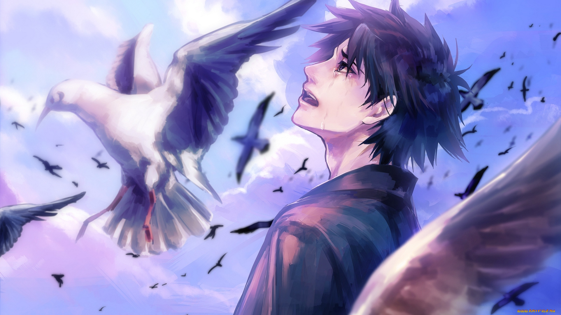 аниме, fate, zero, арт, tamachi, kuwa, stay, night, emiya, kiritsugu, парень, птицы, слезы, небо, облака