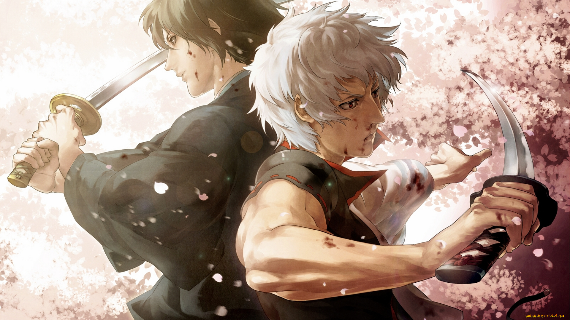 аниме, gintama, арт, tamachi, kuwa, katsura, kotaro, sakata, gintoki, парни, сакура, лепестки, катана, оружие, кровь