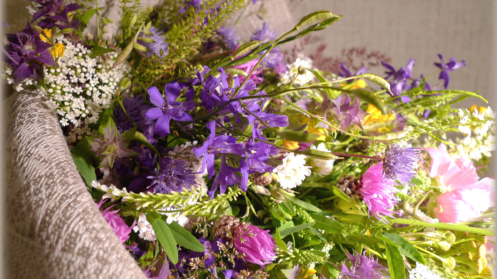 цветы, луговые, , полевые, , цветы, букет