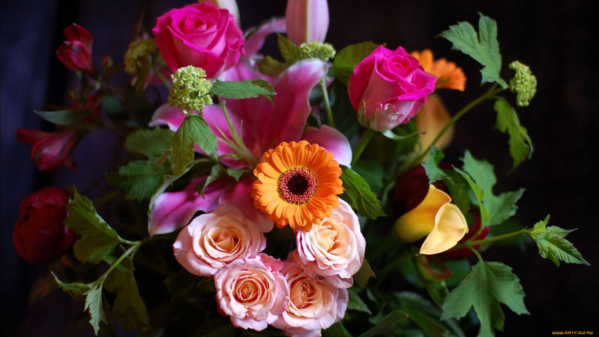 цветы, разные, вместе, бутоны