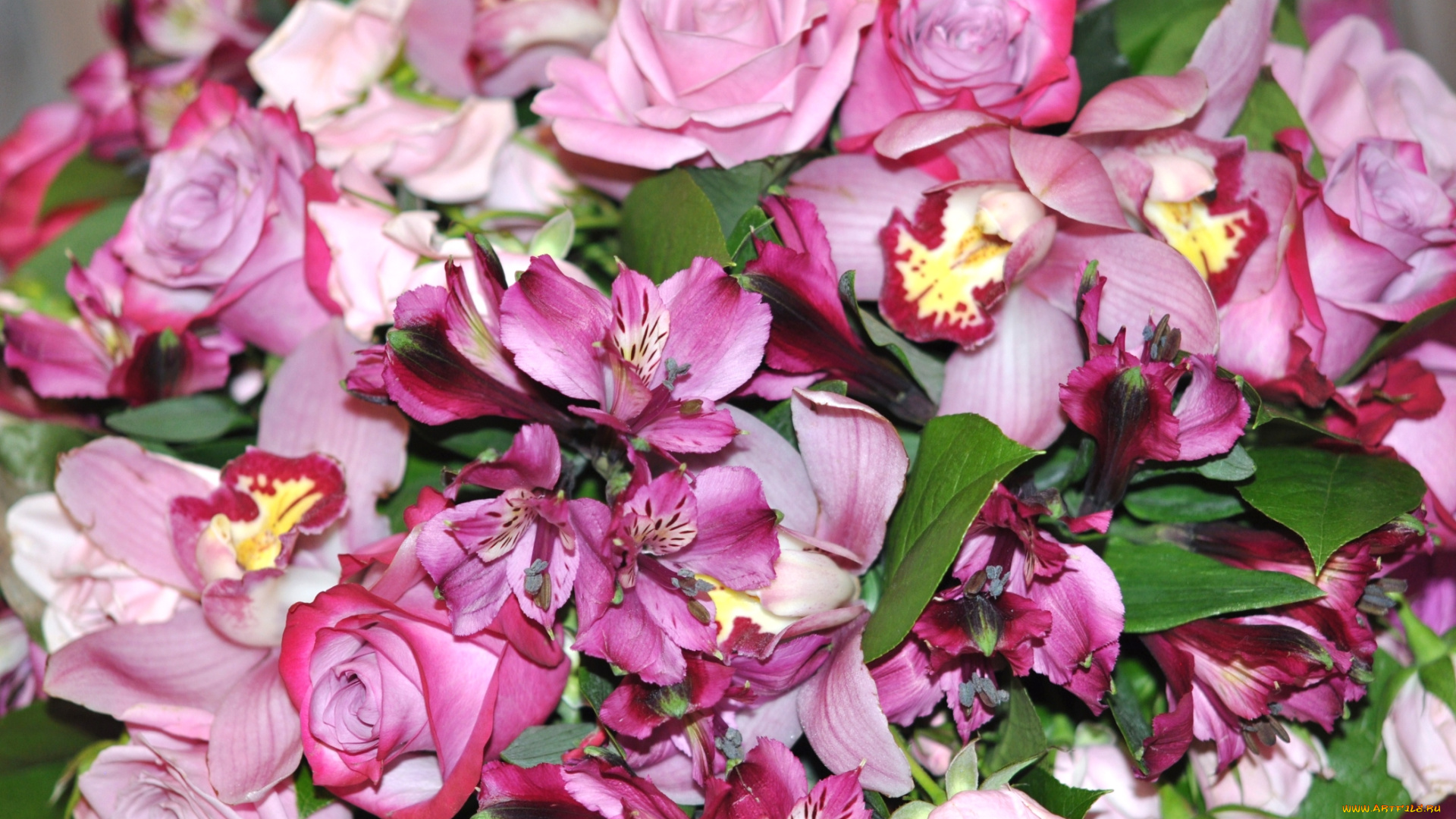 цветы, разные, вместе, орхидеи, розы, альстромерия