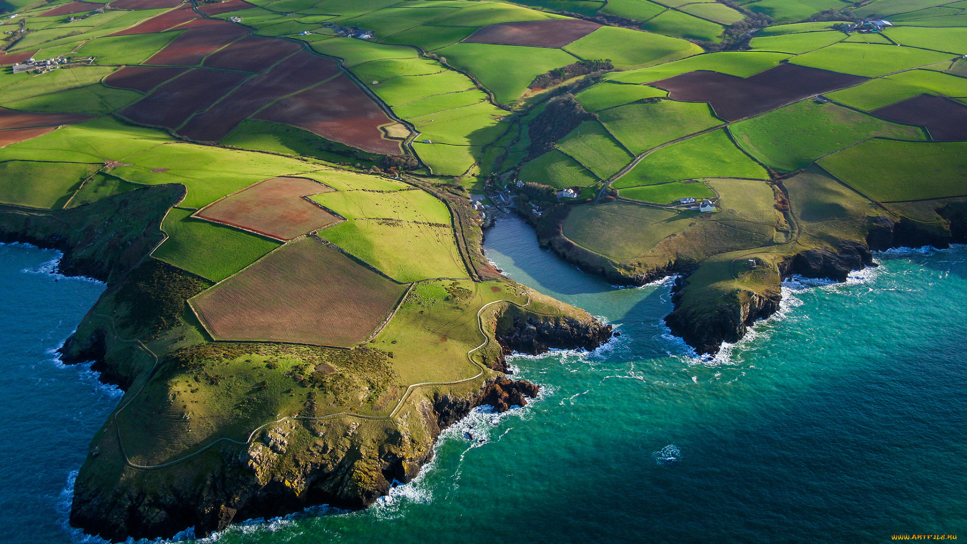 природа, побережье, земля, поля, на, краю, море