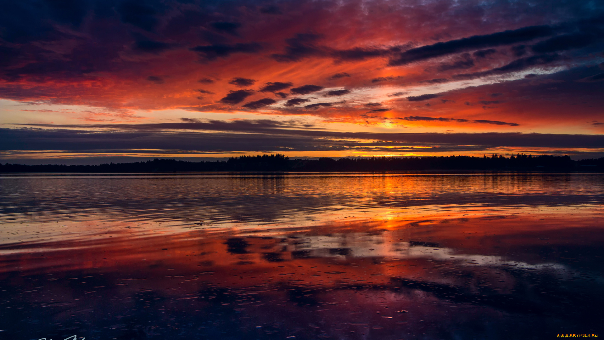 природа, восходы, закаты, сша, штат, орегон, залив, тихий, океан, река, coos, вечер, закат, отражения, небо, вода, облака