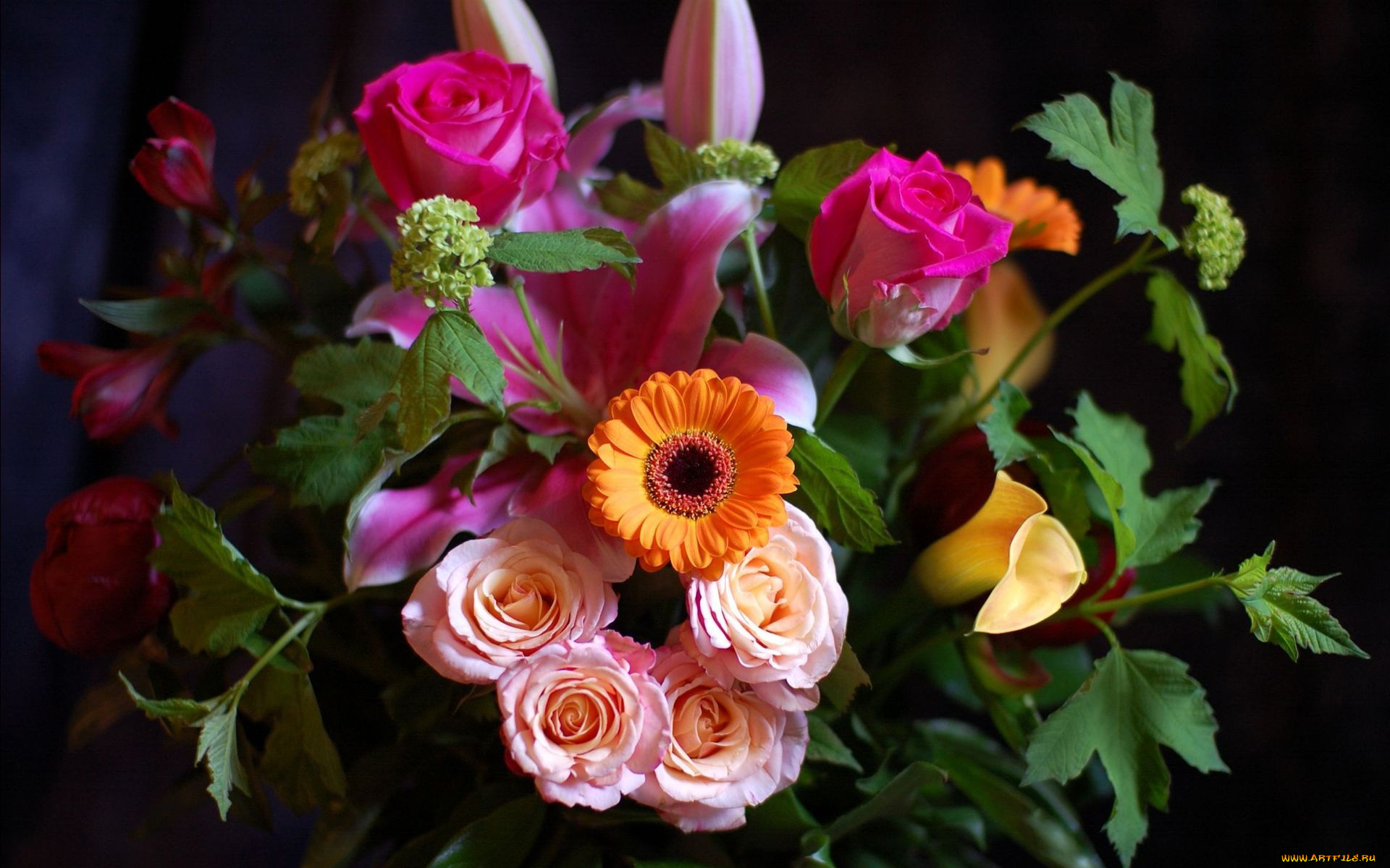 цветы, разные, вместе, бутоны