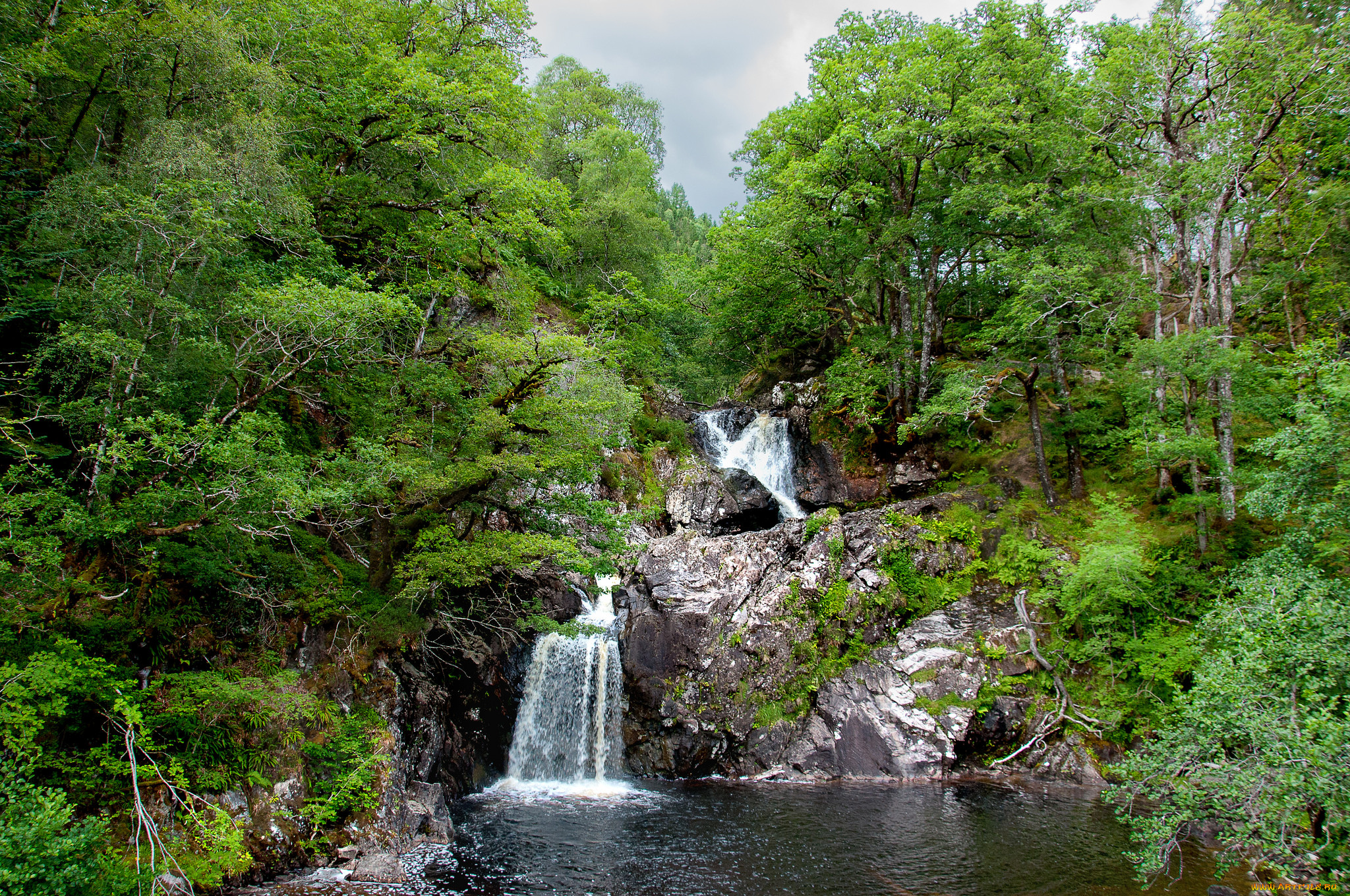 природа, водопады, лес, река, водопад