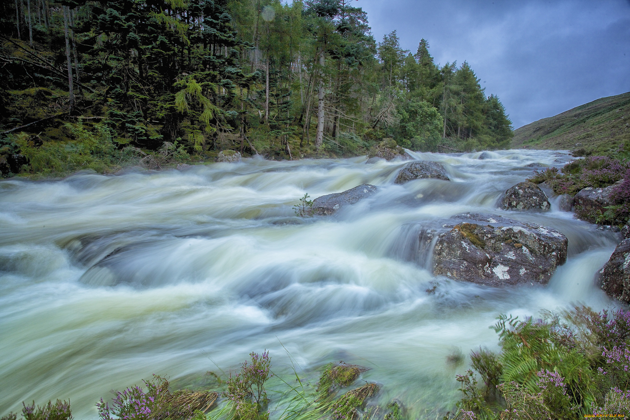 природа, реки, озера, лес, река, пороги