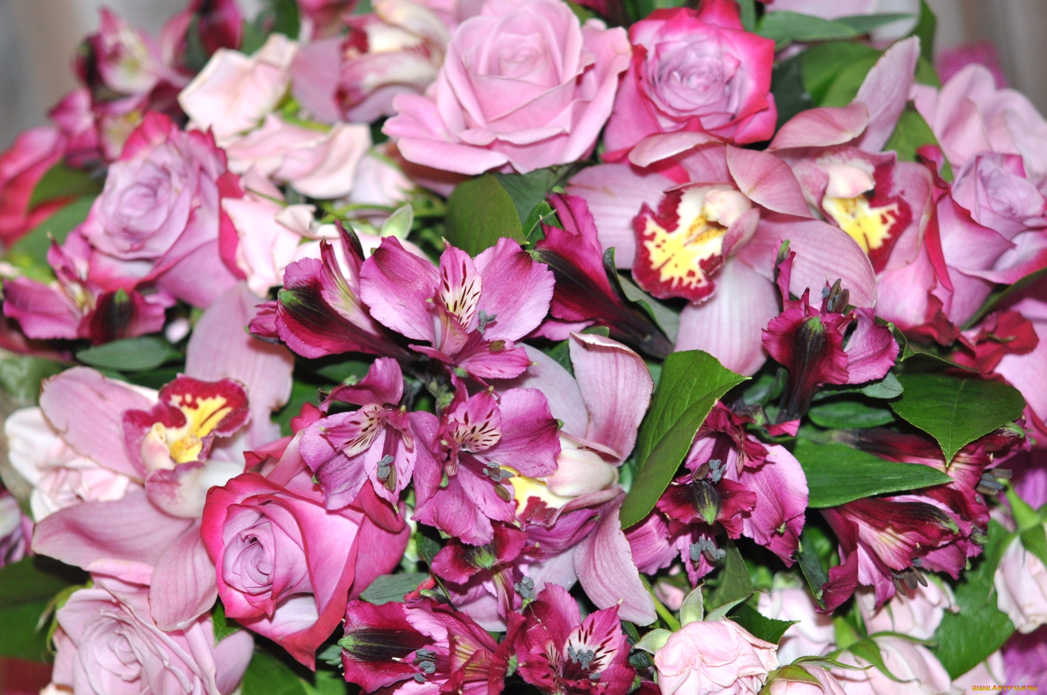 цветы, разные, вместе, орхидеи, розы, альстромерия