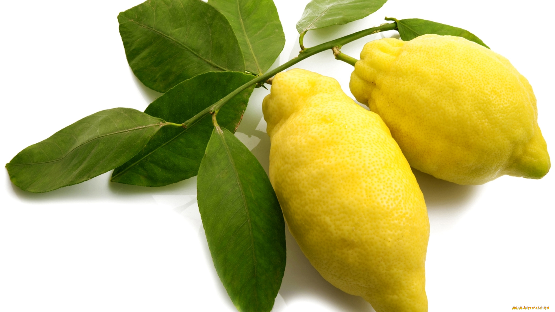 еда, цитрусы, желтый, фрукт, цитрус, лимоны