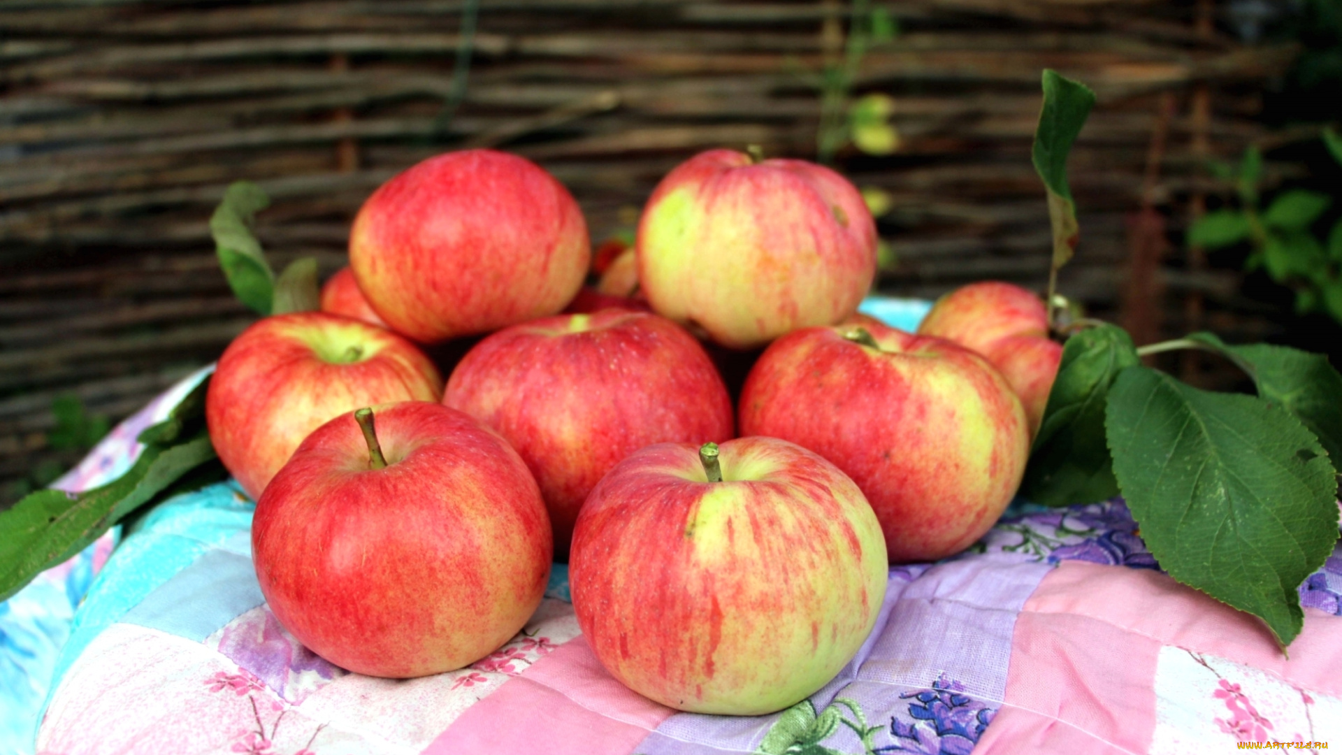 еда, Яблоки, плоды, фрукты, яблоки