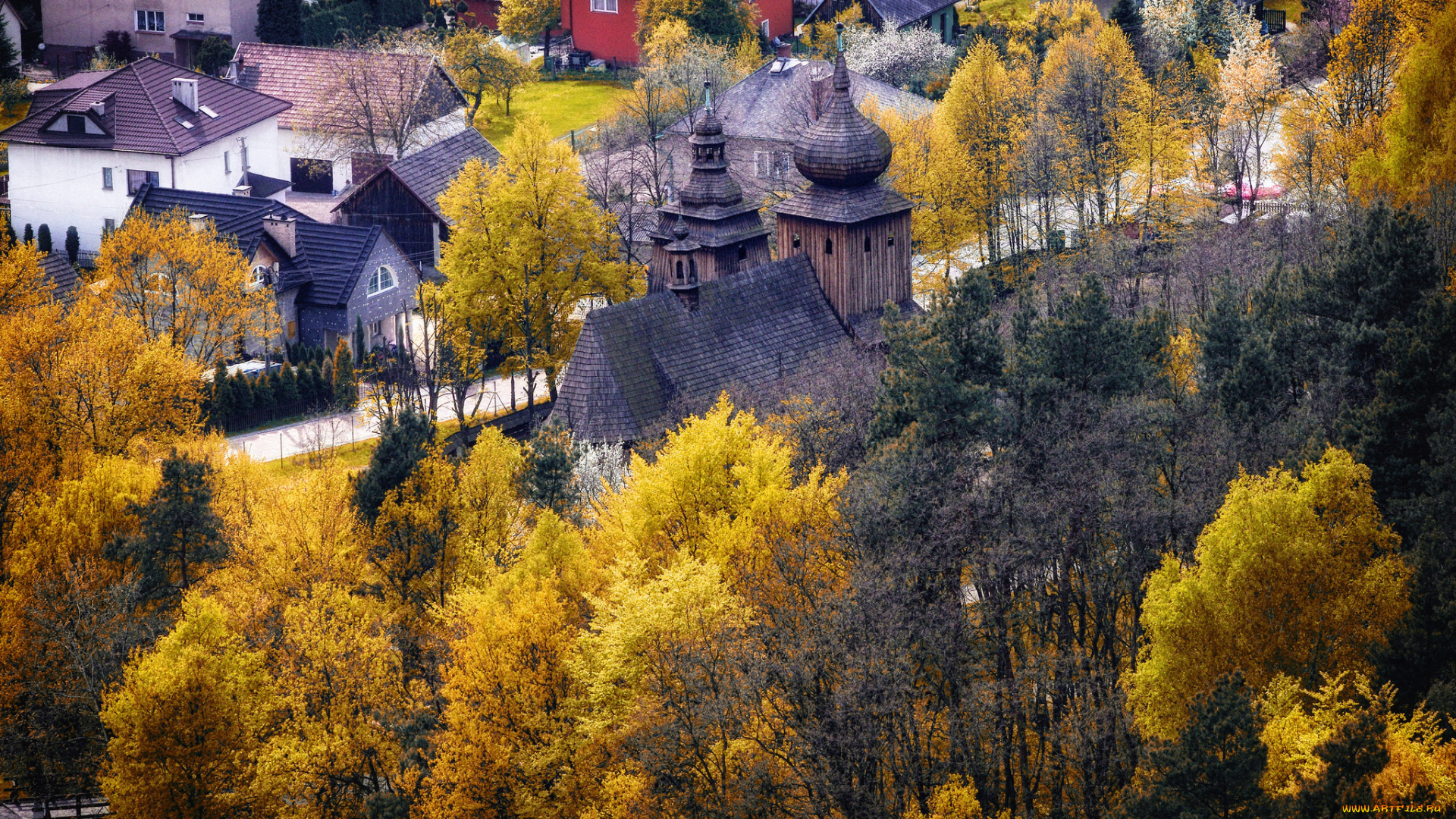 города, -, пейзажи, польша, осень, деревья, дома, город