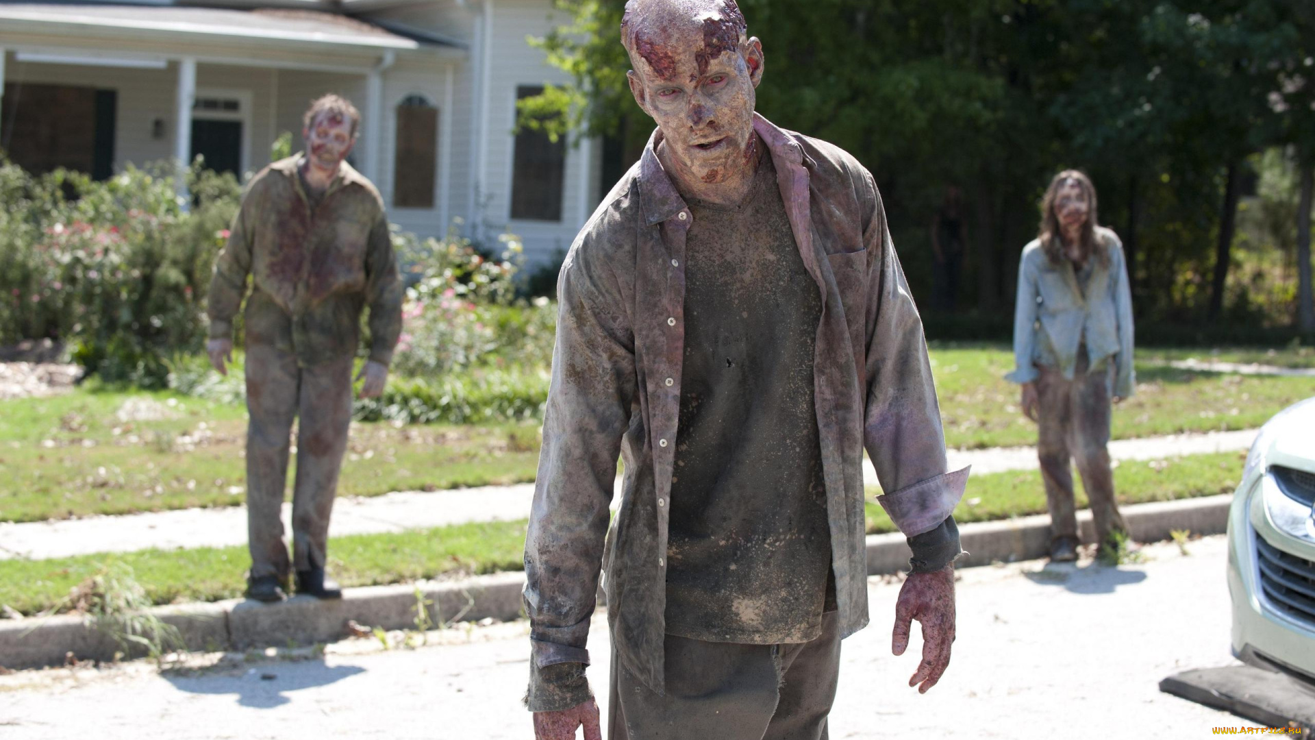 кино, фильмы, the, walking, dead, зомби