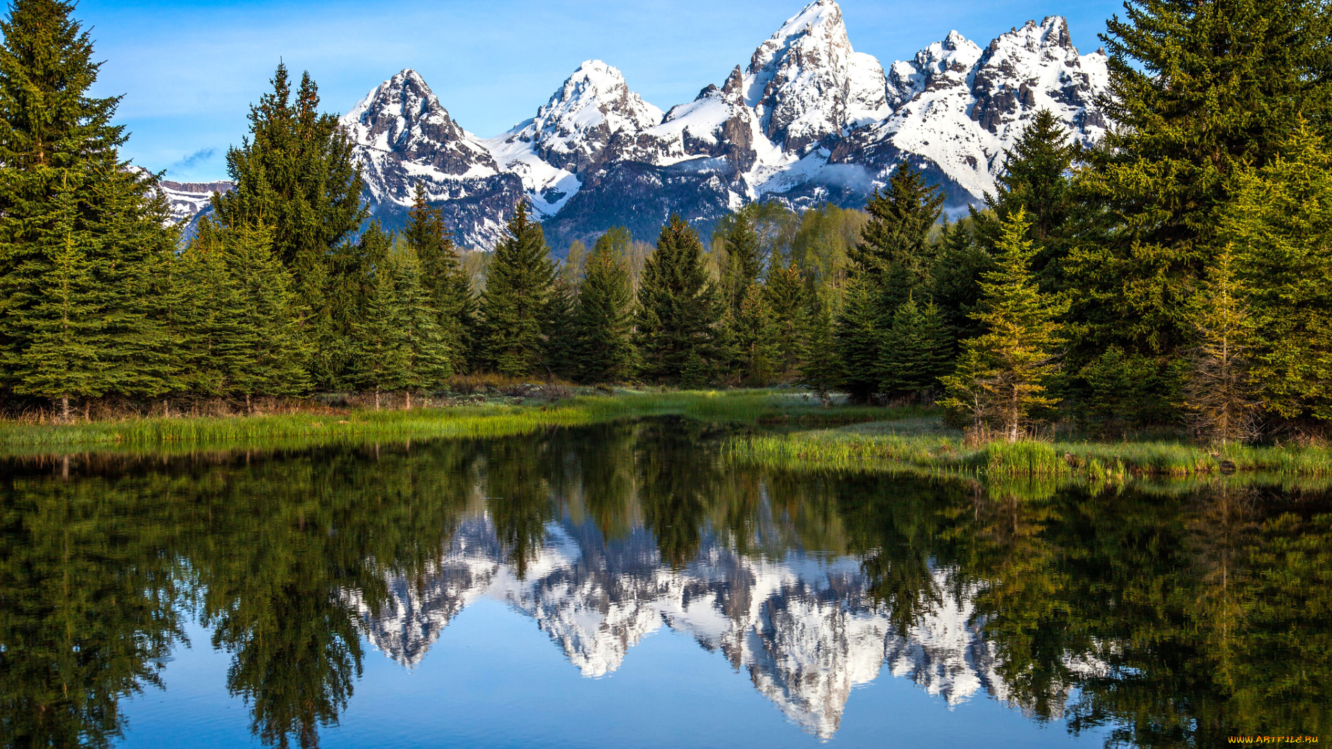 природа, реки, озера, ель, горы, сша, вайоминг, grand, teton, national, park, озеро, отражение, деревья, снег, река, небо