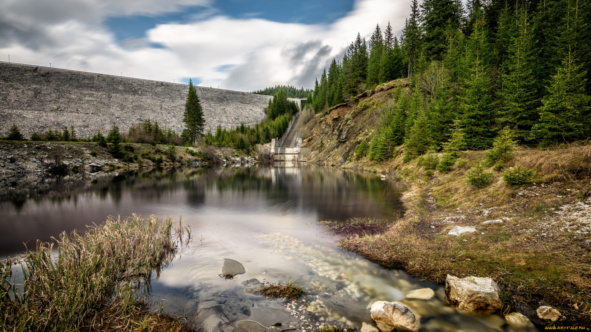 природа, реки, озера, река, лес