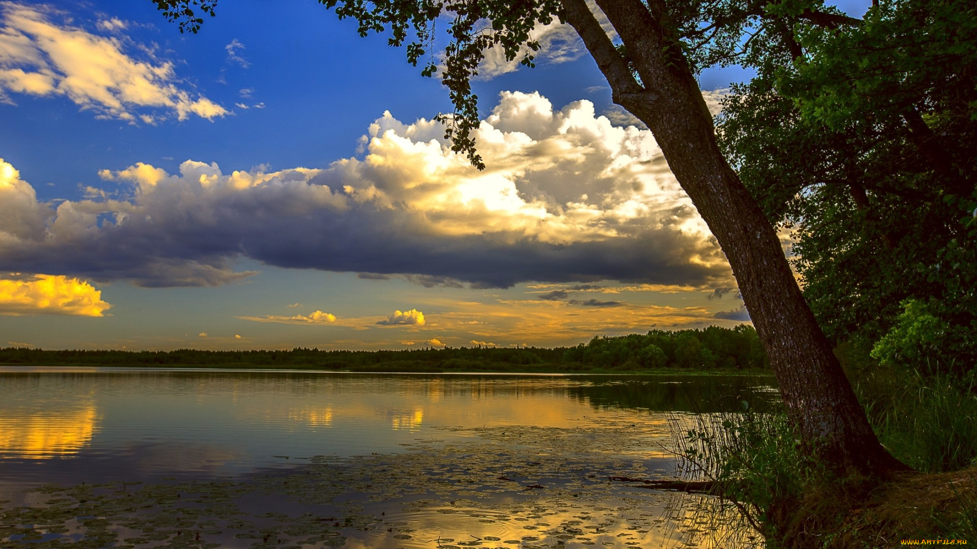 природа, реки, озера, закат, отражение, дерево, река, облака, небо, ветки