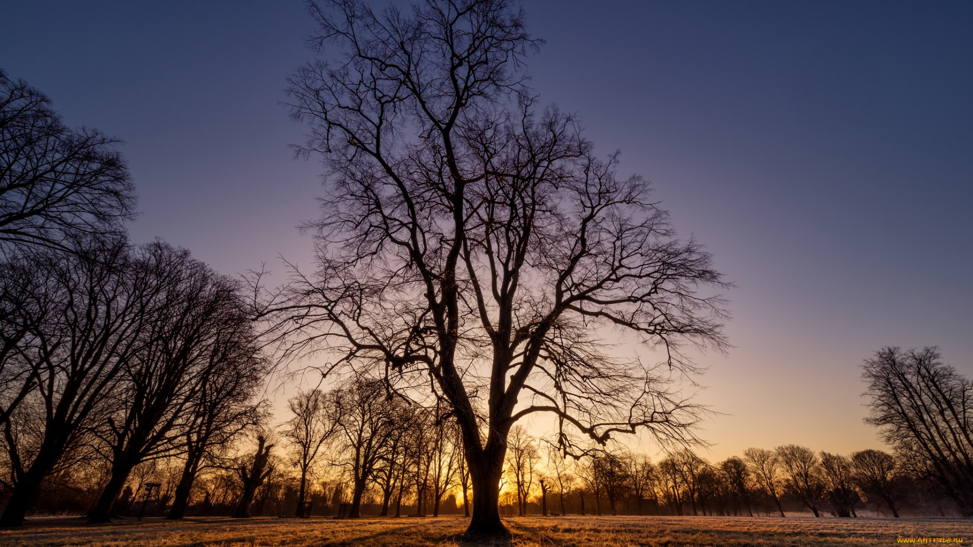 природа, восходы, закаты, рассвет