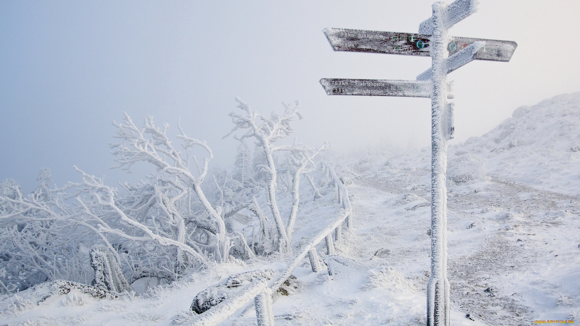 природа, зима, иней, знак, дорога