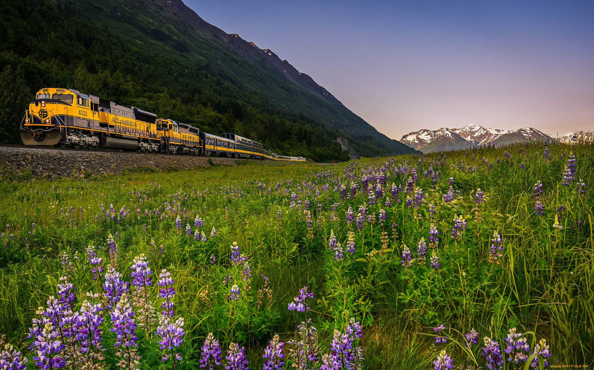 техника, поезда, рельсы, локомотив, состав, дорога, железная
