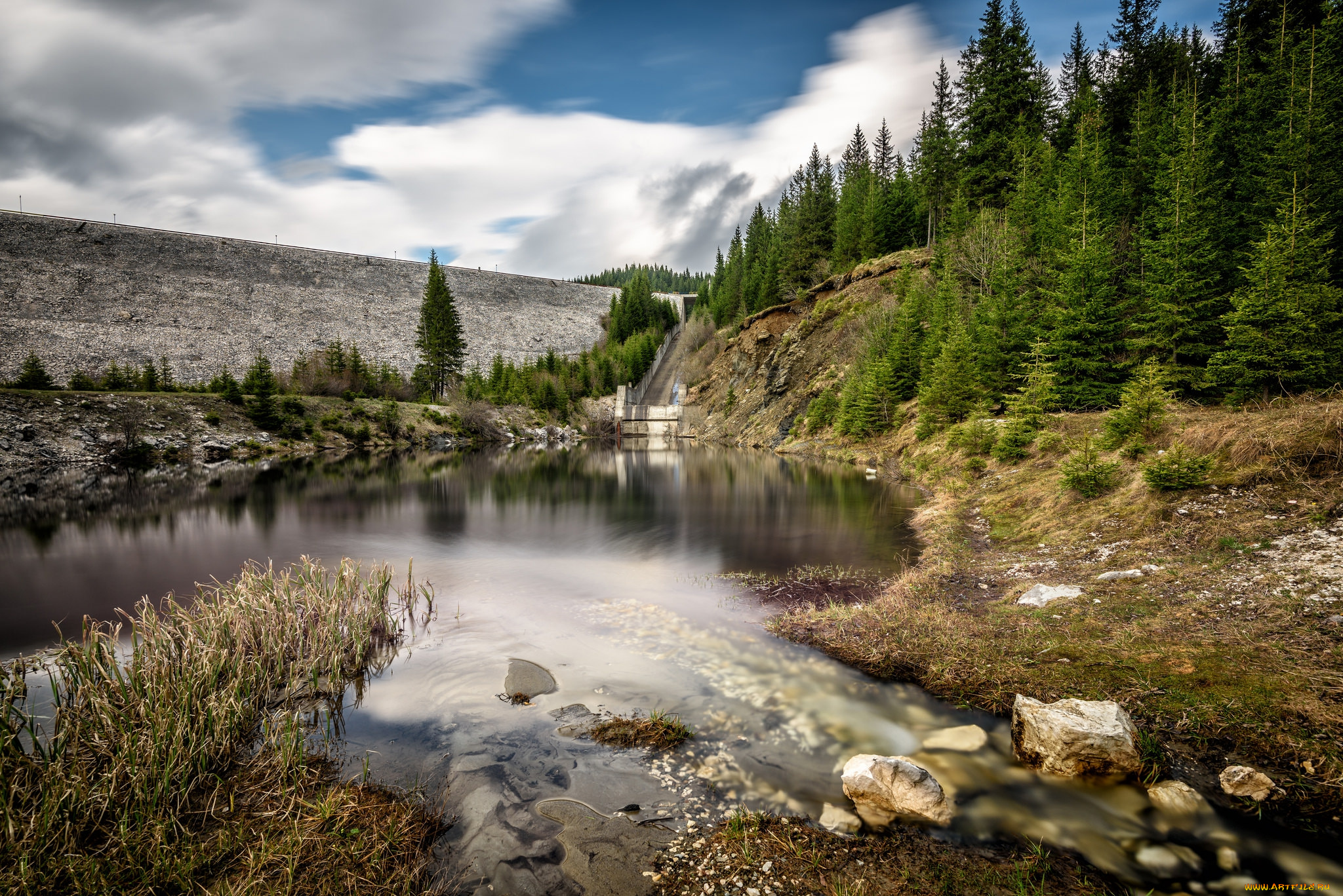 природа, реки, озера, река, лес