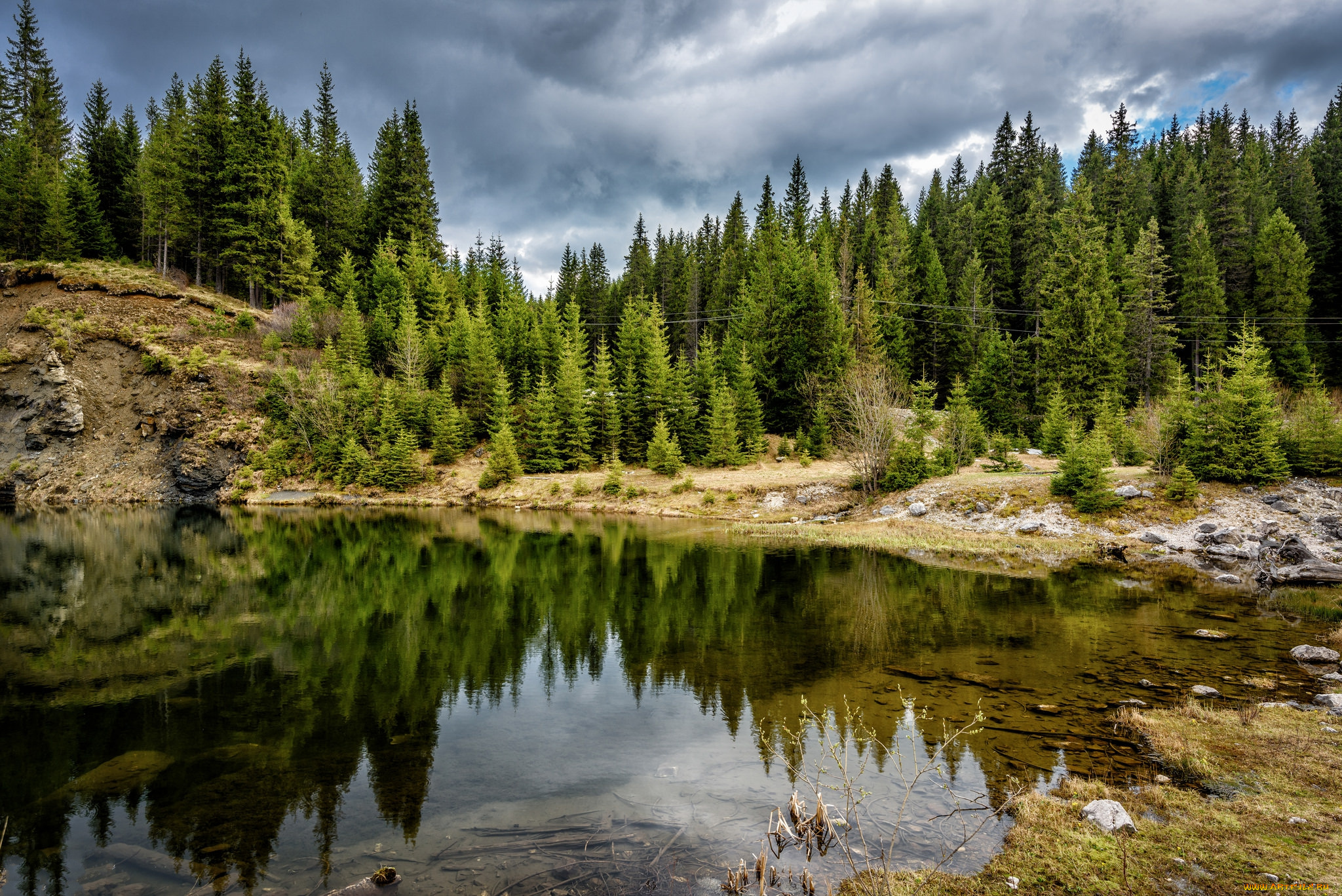 природа, реки, озера, река, лес