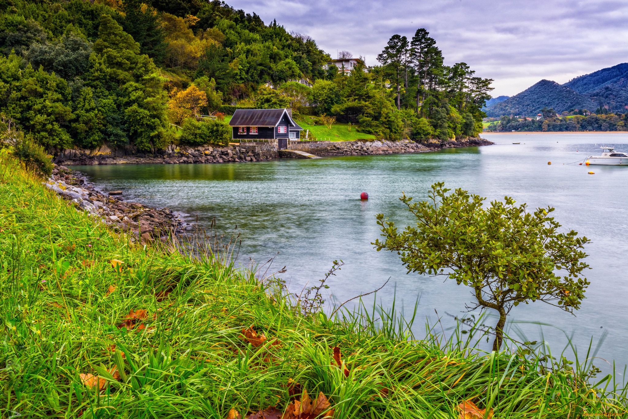 природа, реки, озера, река, лес, горы