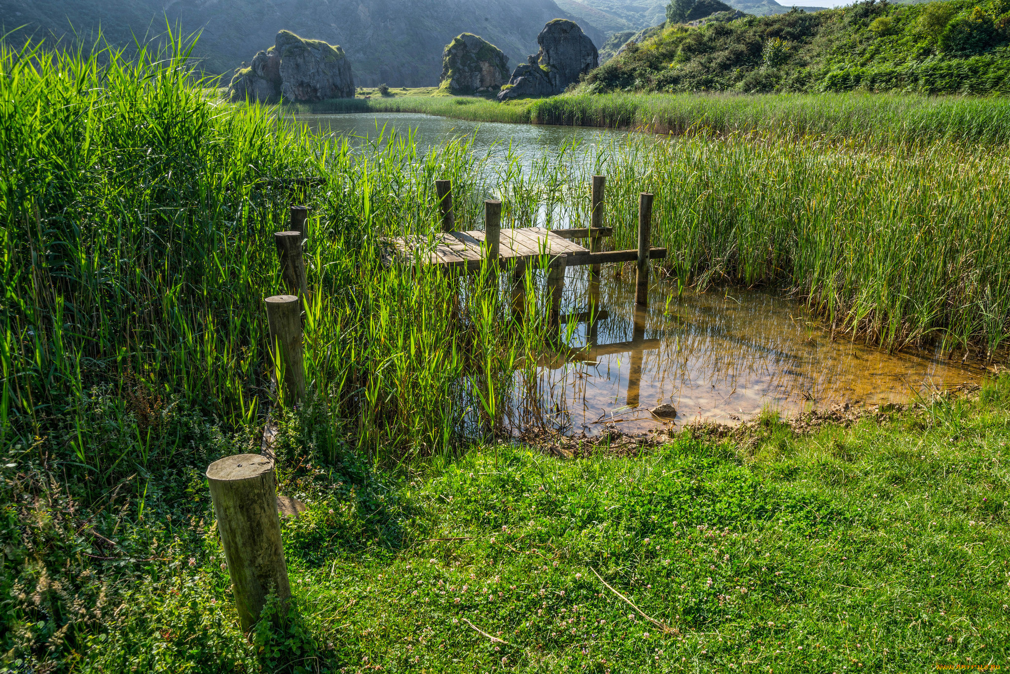 природа, реки, озера, река, лес, горы