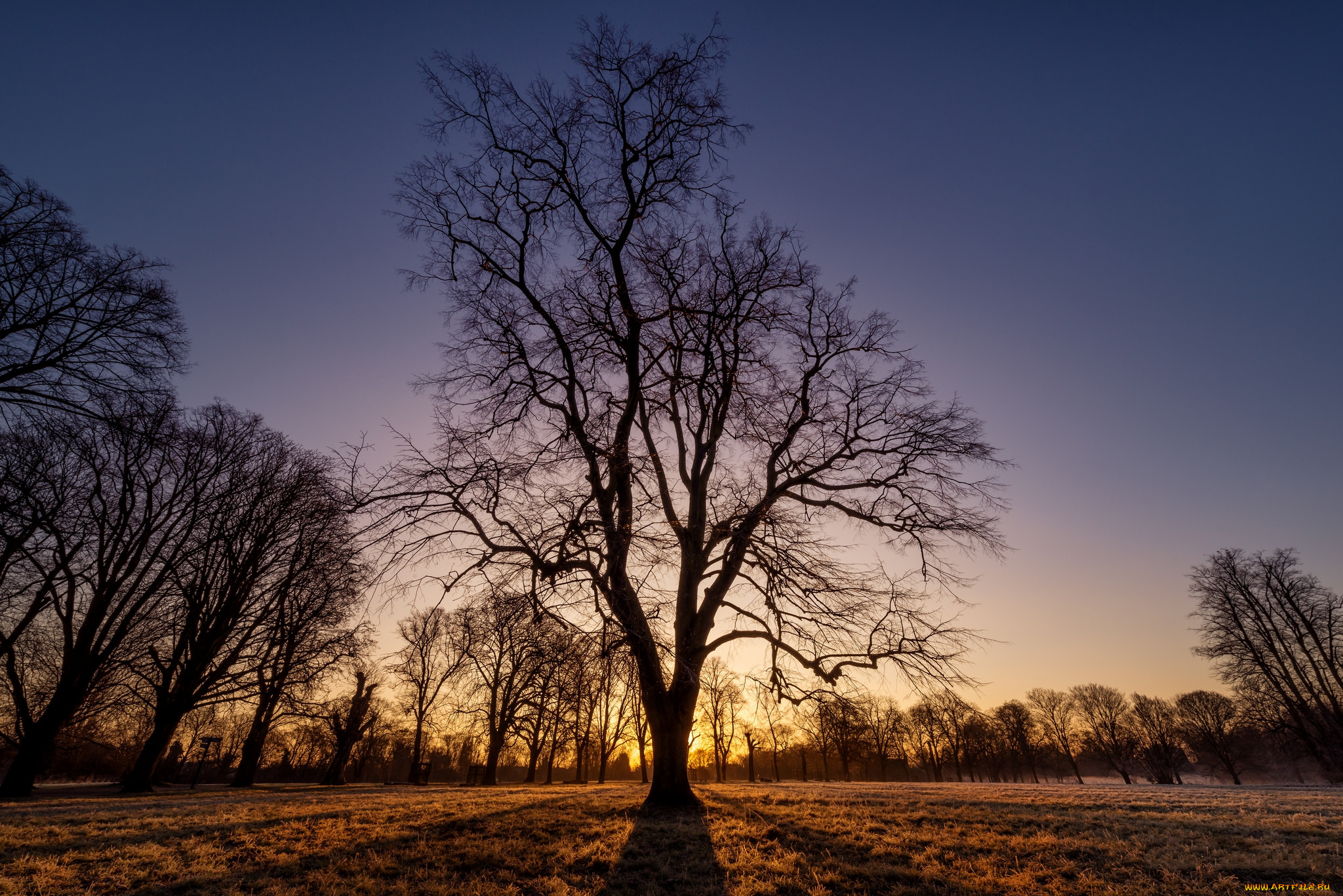 природа, восходы, закаты, рассвет
