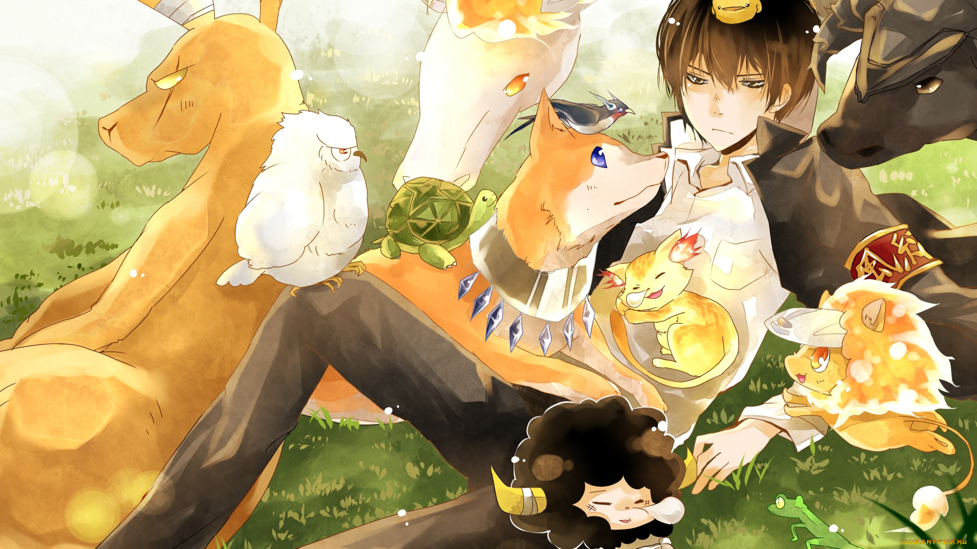 аниме, katekyo, hitman, reborn, хибари, кёя, парень