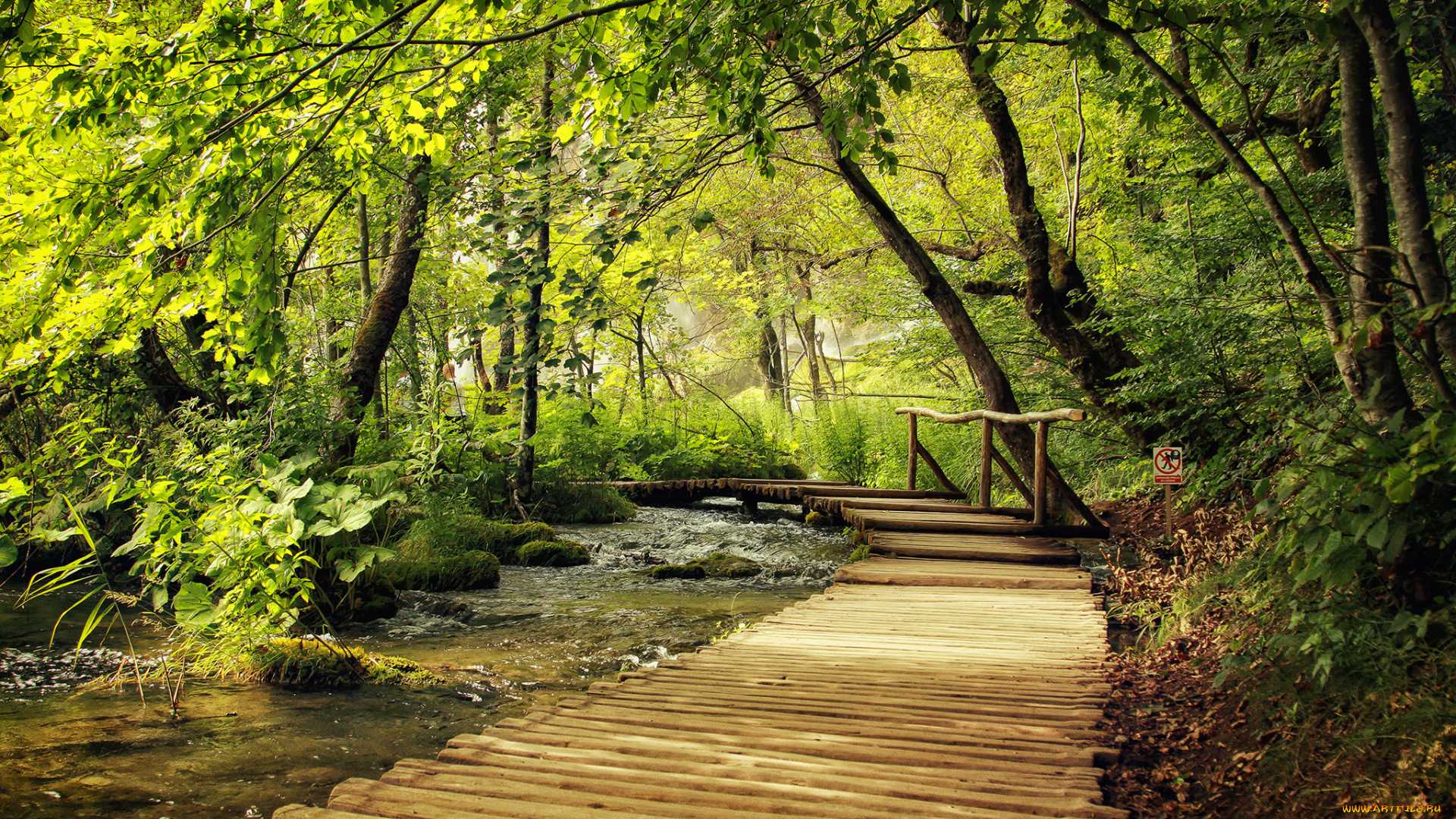 природа, дороги, тракт