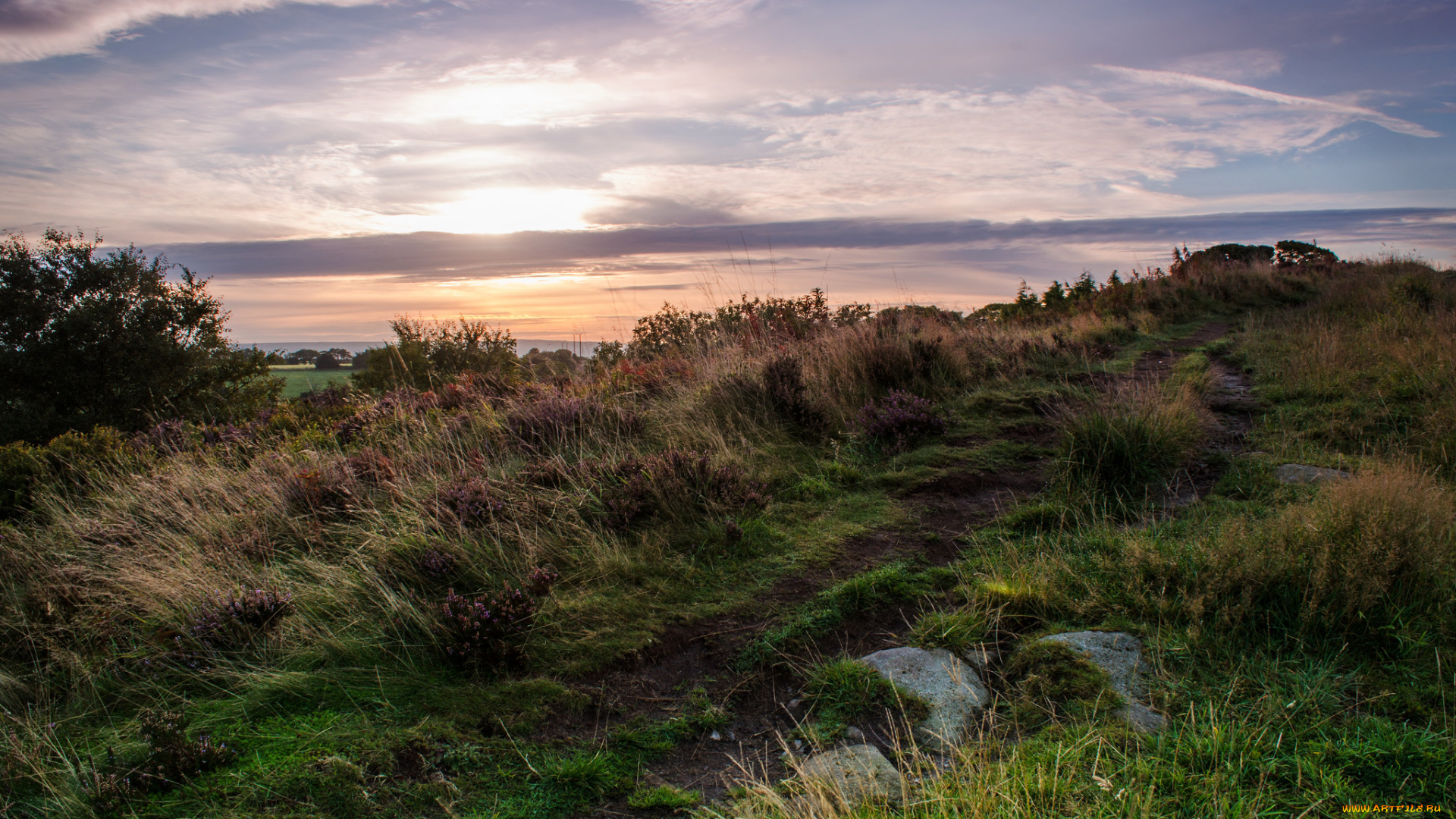 природа, пейзажи, простор